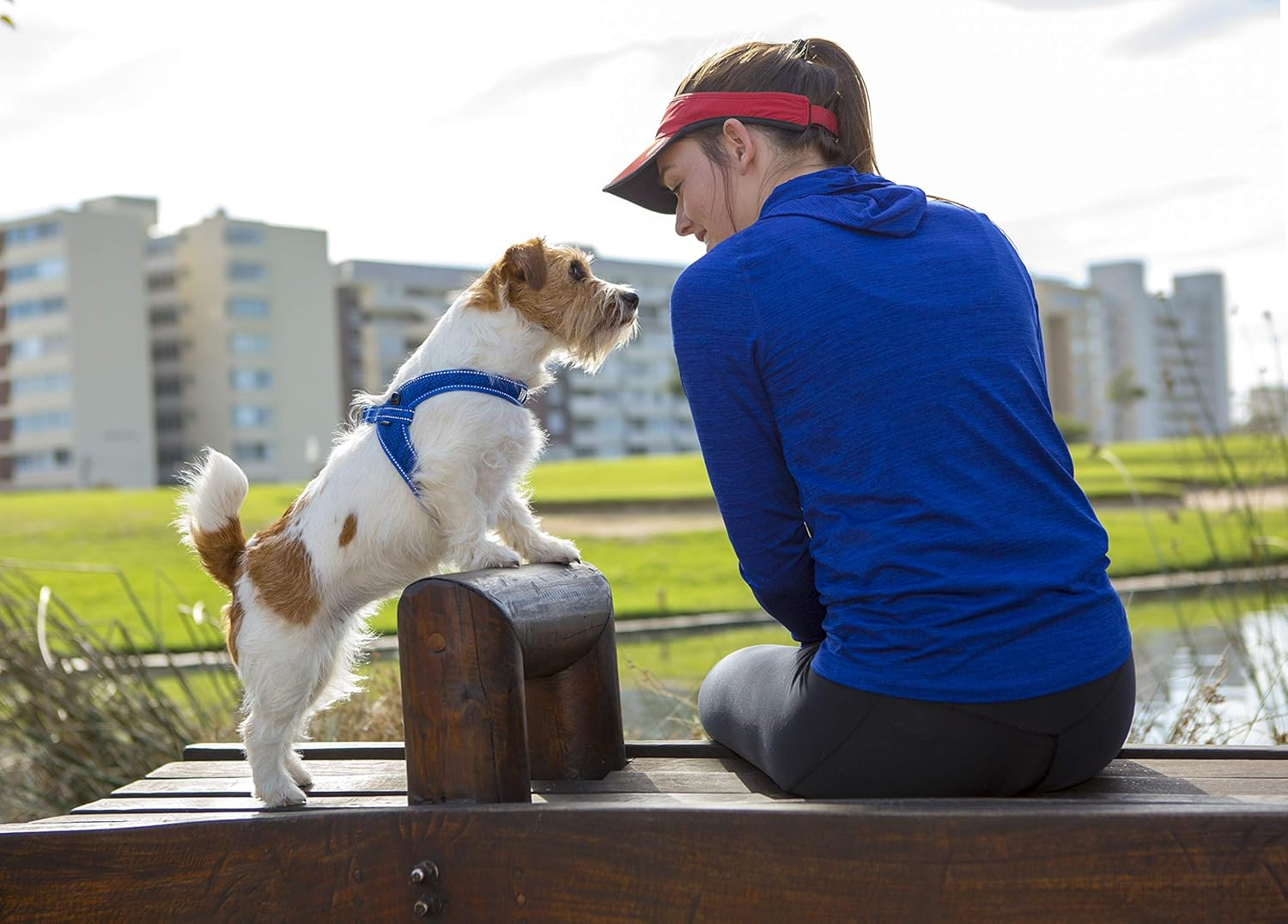 Rogz Classic Quick Fit Boomerang Dog Harness Black Small image number 4