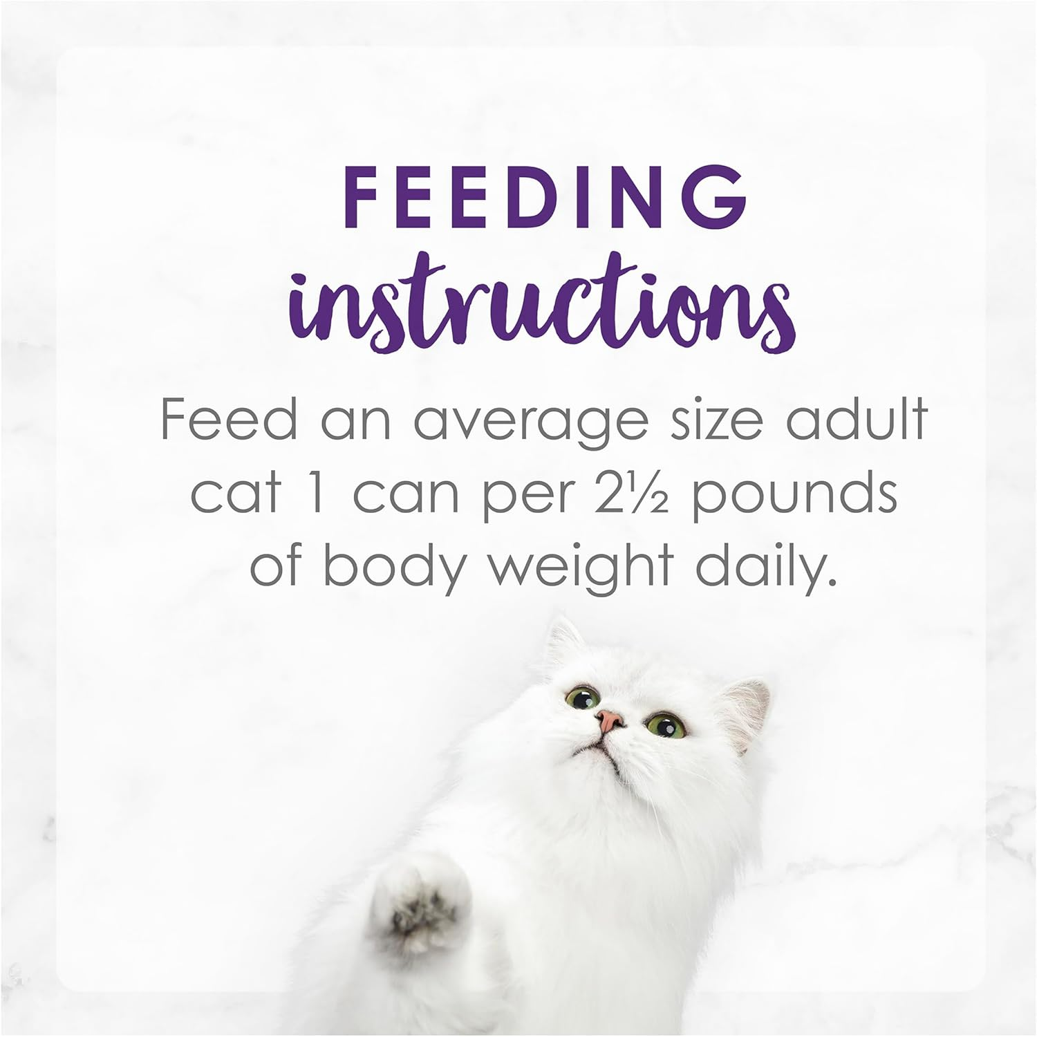 FANCY FEAST Delights with Cheddar Adult Wet Cat Food Turkey & Cheddar Cheese Feast in Gravy 24X85G image number 6