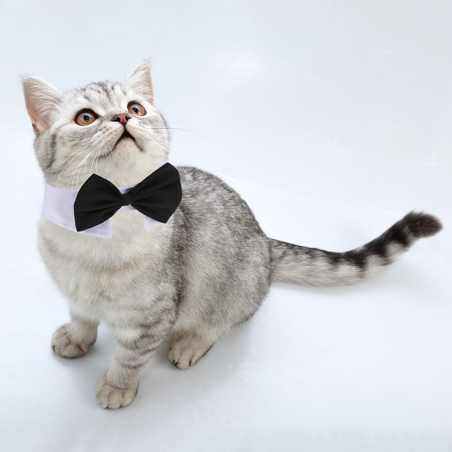 Shappy 3 Pieces Dog Cat Bow Tie Pet Costume Cat Wedding Bowtie Formal Dog Collar Adjustable Necktie Collar for Cat Small Dog Puppy Grooming Accessories (S) image number 5