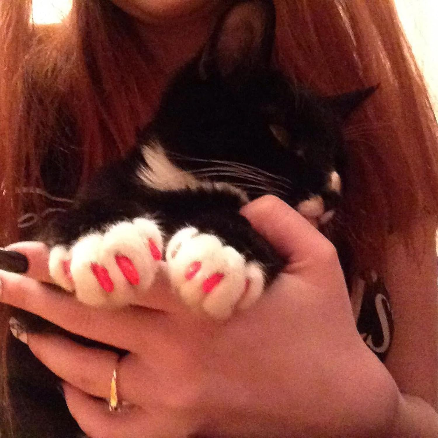 160 Cat Nail Covers Kit, Kitten Claw Protection, Pet Cat Paw Covers, Nail Covers for Small Cats, Cat Claw Covers with Adhesives, Colored Cat Nail Caps, Cat Paw Cover Set for Small Cats 6-9Lbs image number 4