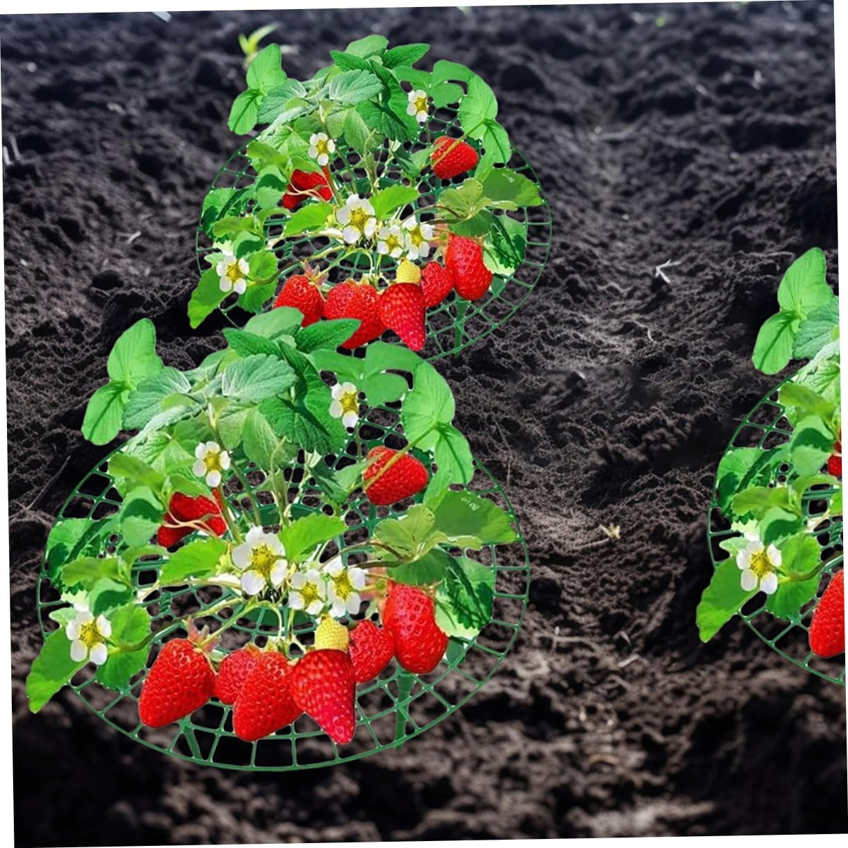 INOOMP 4Pcs Planting Rack Plant Support Cage Strawberry Growing Support Garden Tie Plant Risers for Patio Supplies image number 5