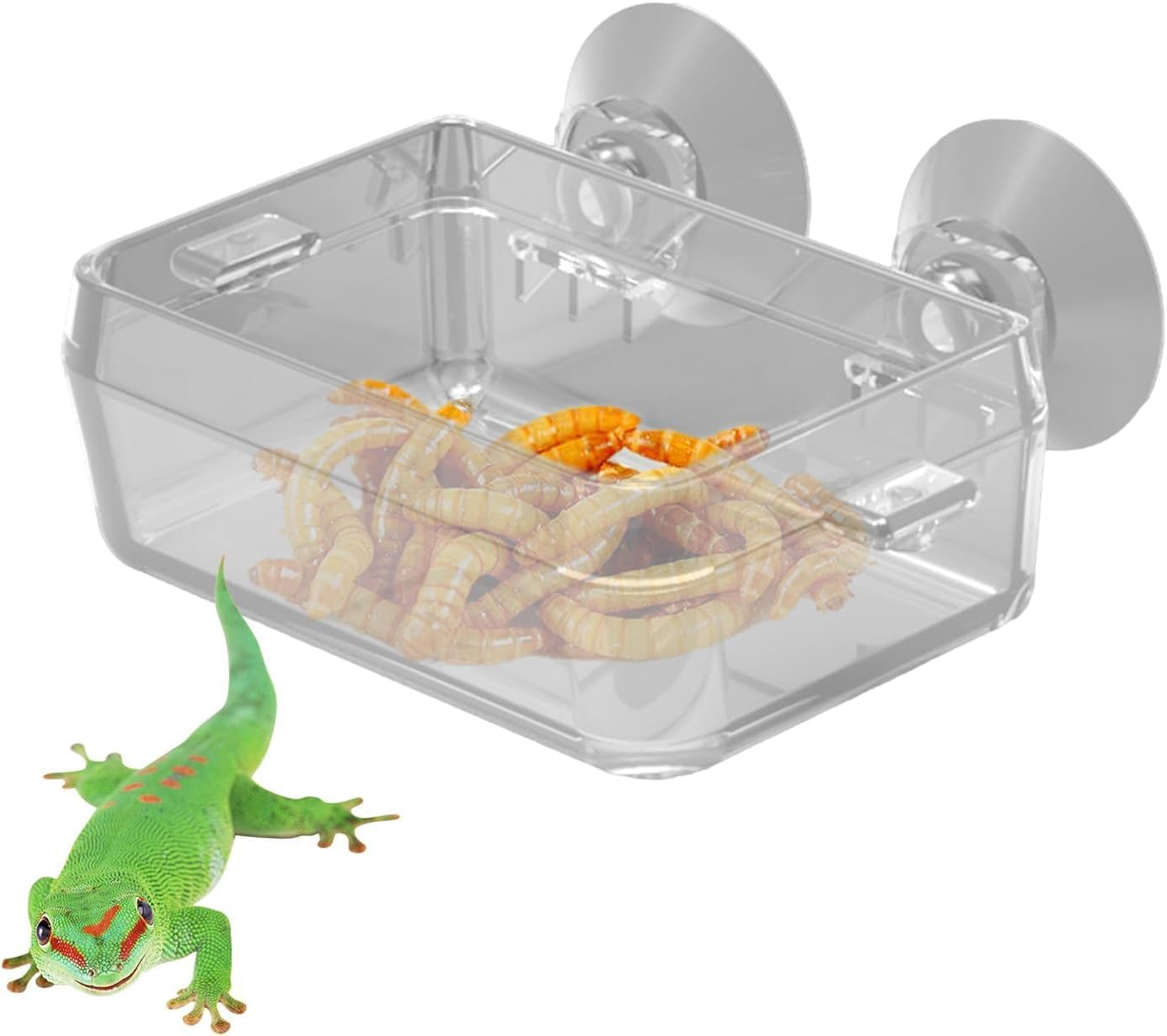 Escape Proof Reptile Feeding Box, 1Pc Anti-Escape Bowls Transparent Reptile Water Bowl with Suction Cup,Anti-Escape Worm Water Dish with Suction Cup image number 1