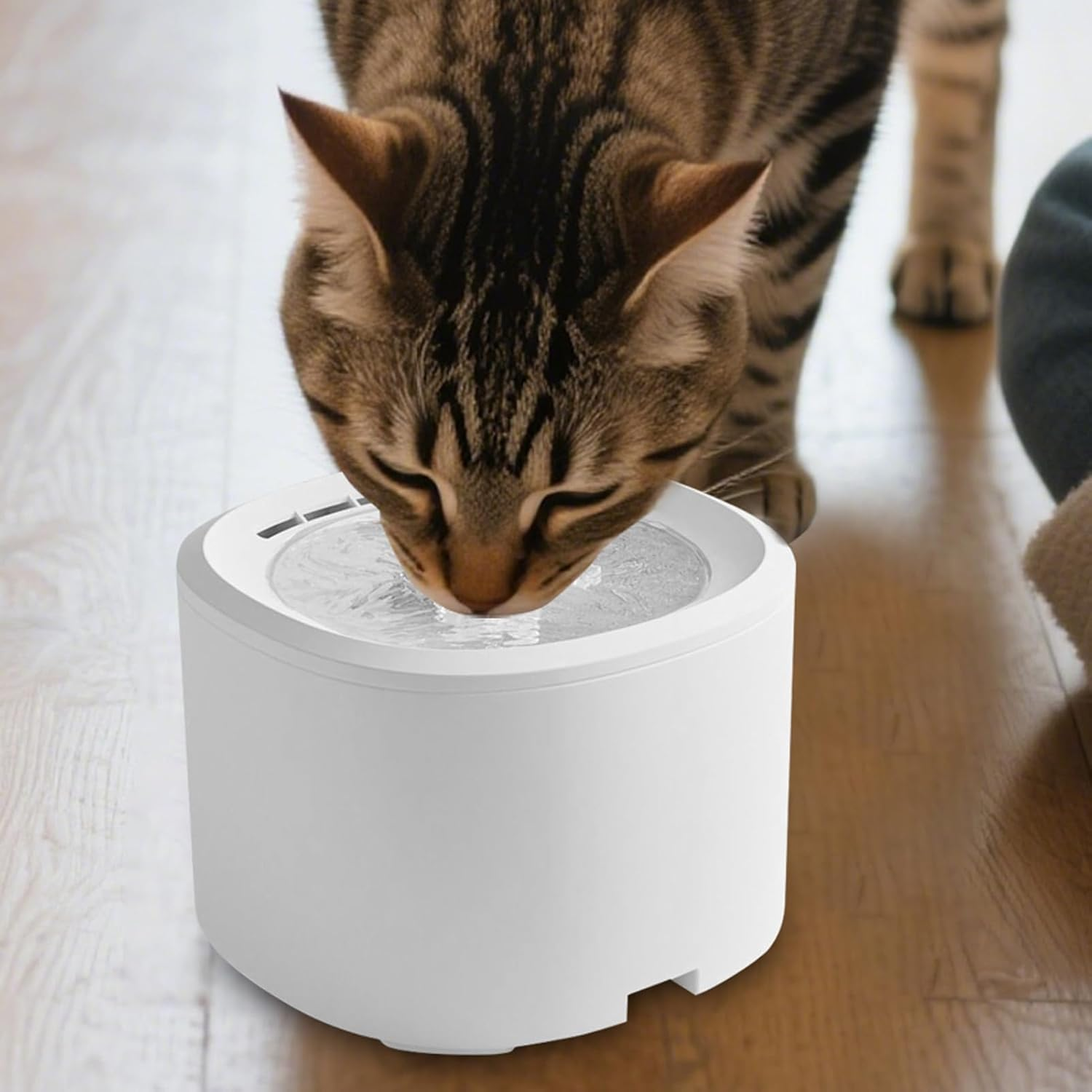 Cat Fountain for Interior Use, Automatic 3L Drinking Station for Pets | USB Water Dispenser with Filter for Cats Dog Multi Pair Home Intelligent Quiet USB Indoor Travel Kitten Welp Intelligent Quiet image number 3