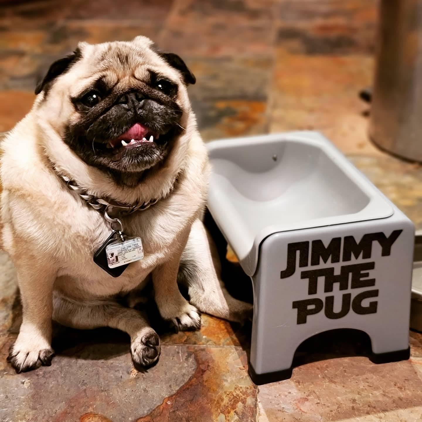 Fluff Trough Elevated Dog and Cat Bowl Feeding System with Silicone Bowl for Small to Medium Pets - Vet Approved, Food Safe, Non-Toxic, Dishwasher Safe, Perfect for Flat-Faced Pets, Gray image number 1