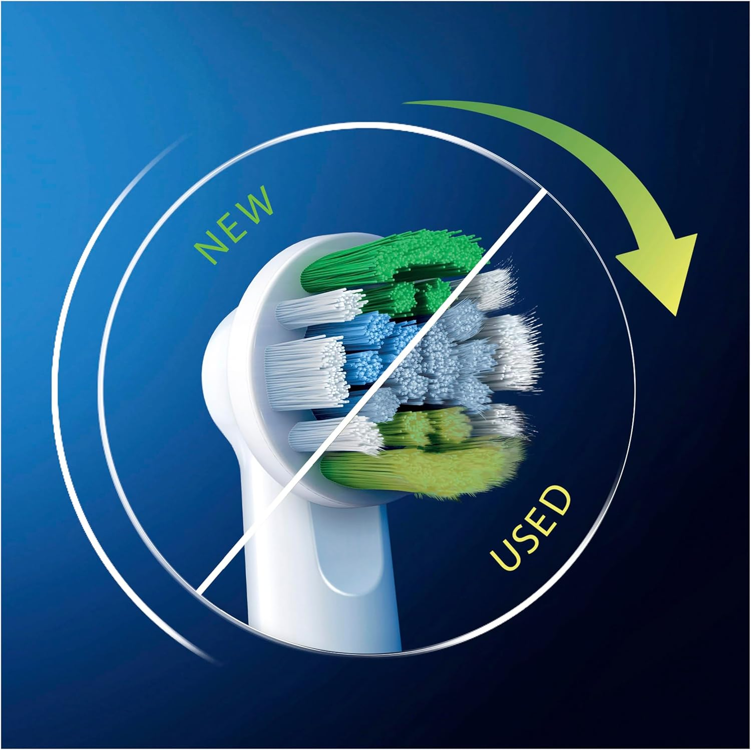 Oral-B [GENUINE] Everyday Clean Electric Toothbrush Replacement Heads, 2 Pack image number 5