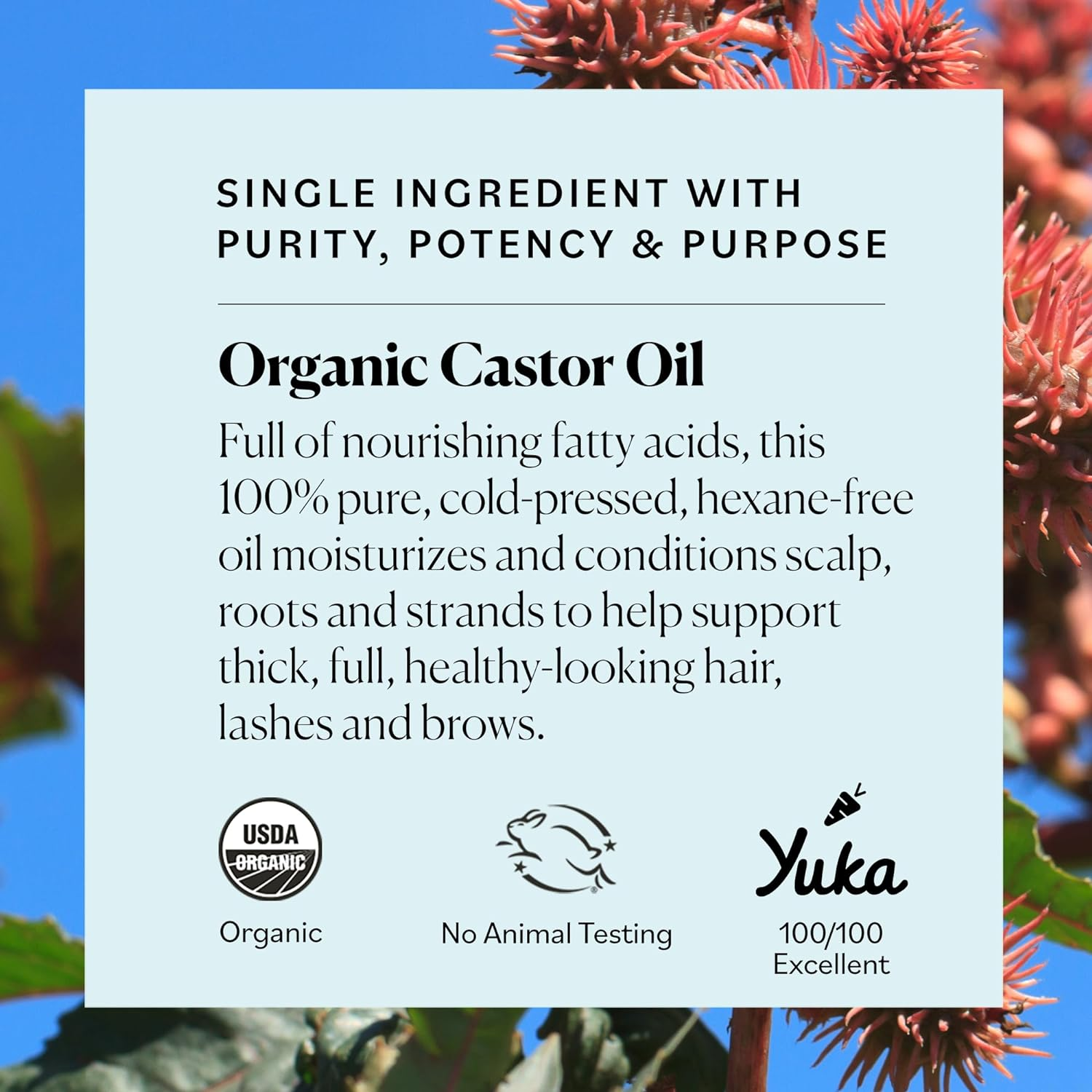 Sky Organics - Castor Oil Organic - Volumizing Hair Oil - Scalp, Lashes, Brows - Pure Castor Oil Cold Pressed - Natural Conditioner - Omega Fatty Acids, Vegan - Beauty, Hair Care - 8Oz image number 4