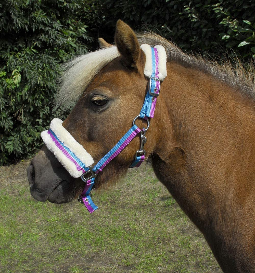 Rhinegold Bright Striped Fur Trim Small Pony Headcollar image number 1