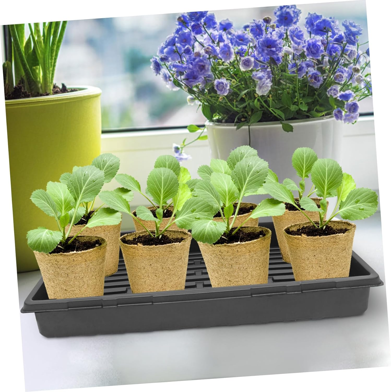 FONDOTIN 5Pcs Thickened Seedling Trays Plant Starter Trays Germination for Indoor Outdoor Gardening image number 6