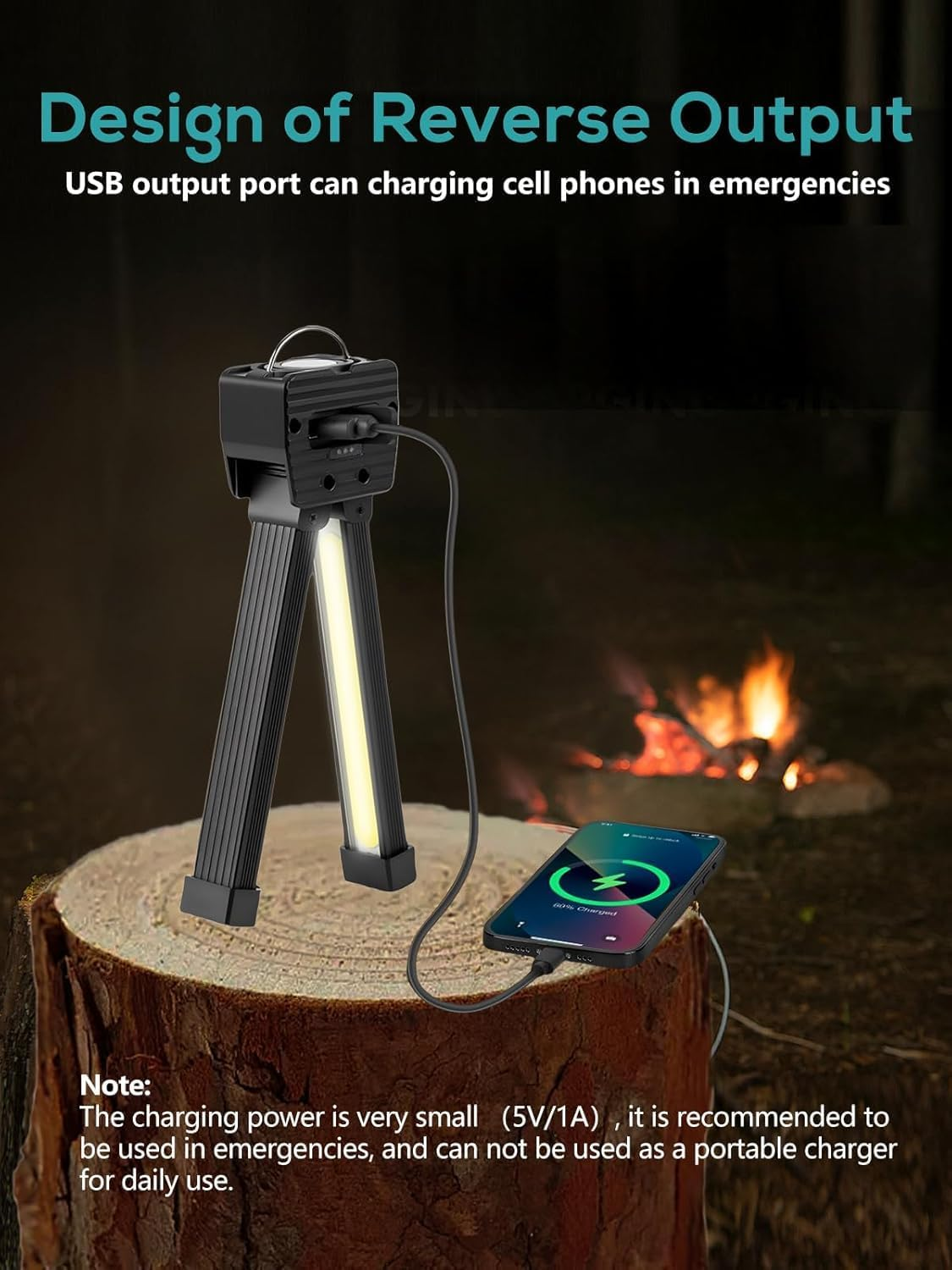 Gym Lamp, Portable Gym Lighting for Posing, Magnetic Work Light Rechargeable, 180&deg; Rotate Foldable with Hang Hook Camping Lamp, LED Handheld Flashlight, for Mechanics Car Repair, Home, Garage