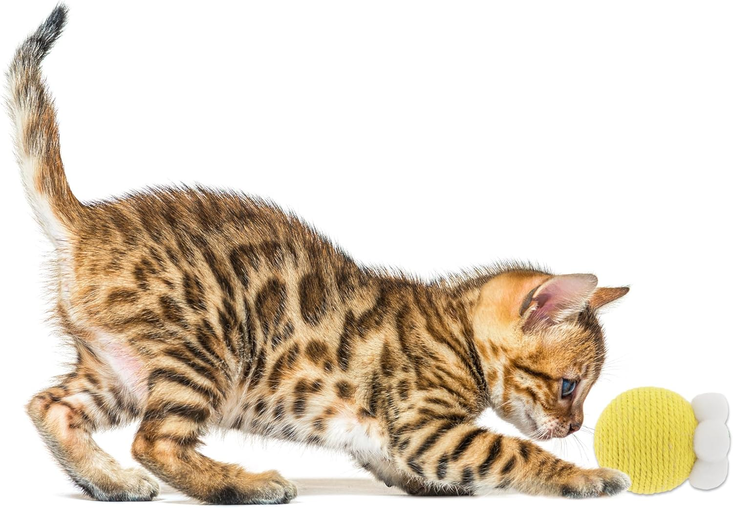 CAPASTEC Cat Playing Ball Interactive Cat Balls Indoor Yellow image number 1