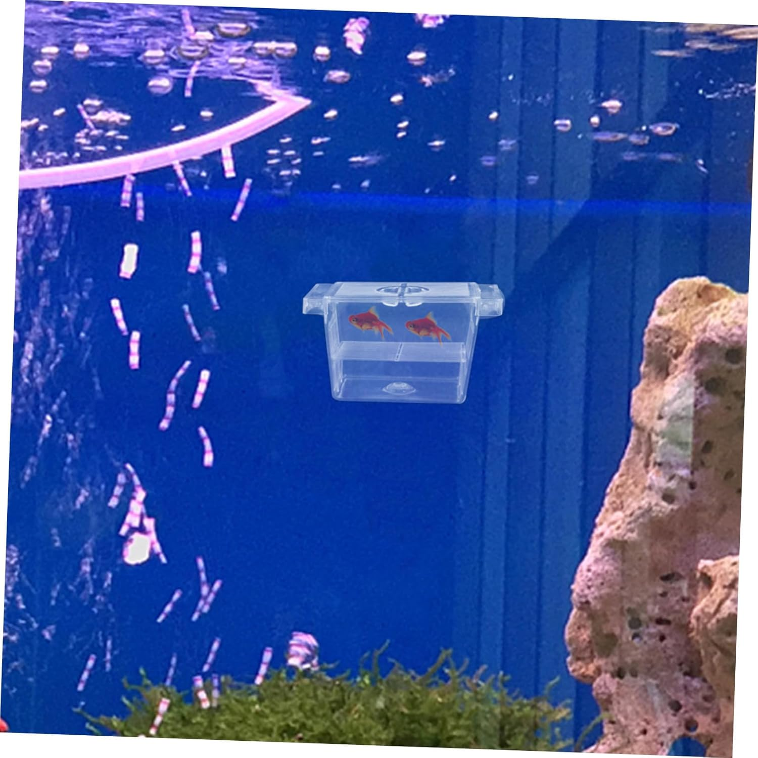 ANDRESLAD Aquarium Fish Breeding Box Separator Dual-Layer Self-Floating Fish Fry Incubator Plastic Nursery Container image number 5