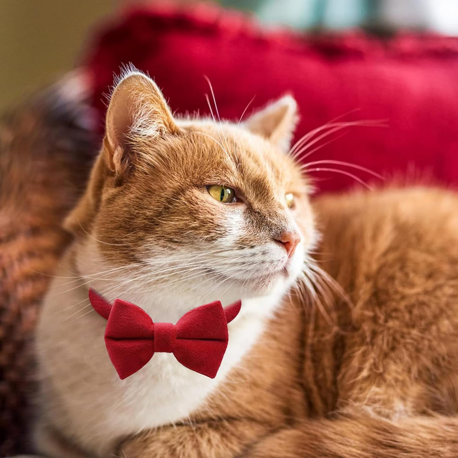 RTRTGS Pack of 2 Velvet Cat Collar with Bell and Bow Tie Adjustable for Small Puppies Safety Bow Tie Plain for Weddings Basic Colour Cat Bow Tie