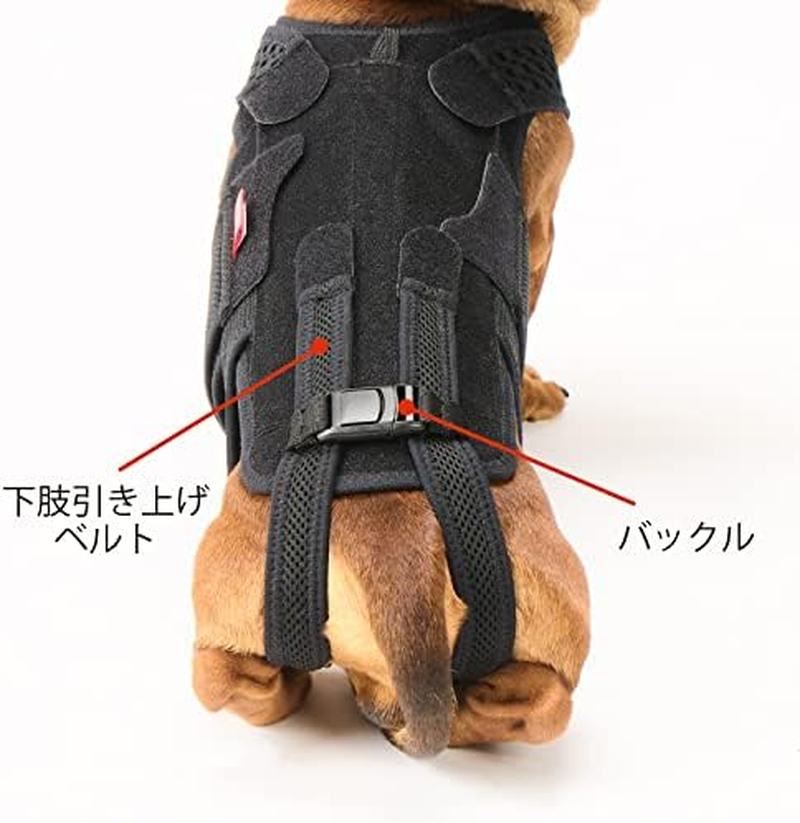 Aniful Dog Coll with M [Dog Corset] Black image number 3