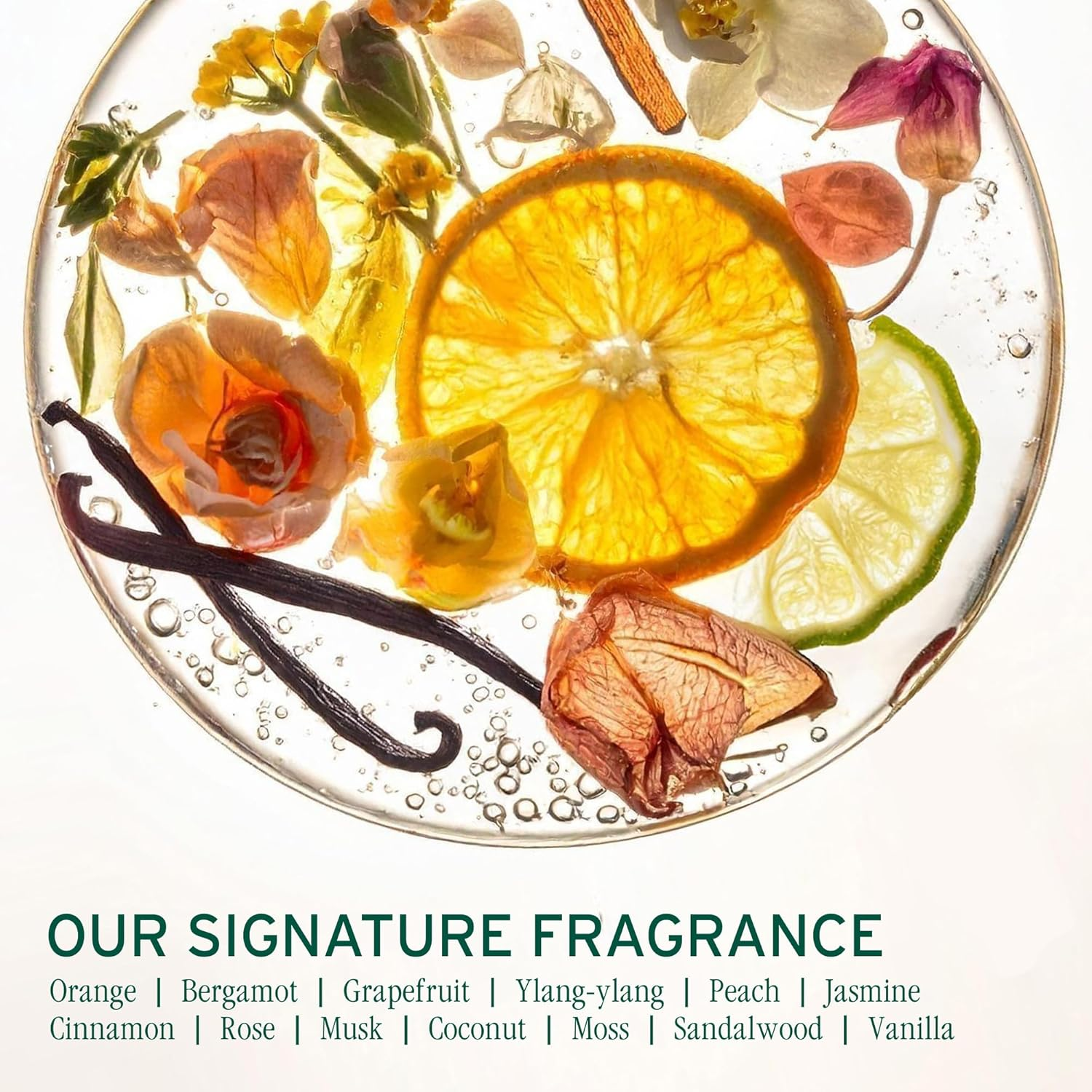 Matrix Biolage Scalpsync anti Dandruff Shampoo 400 Milliliter image number 4