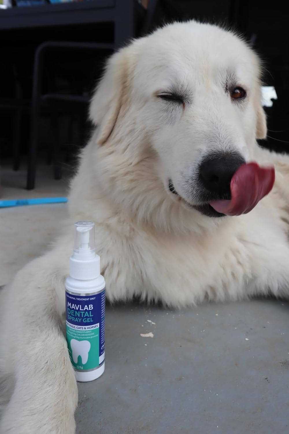 Mavlab Dental Spray Gel 125G for Dogs and Cats, Veterinary Formulated Oral Care to Reduce Plaque and Freshen Breath, Australian Made, Veterinary Registered image number 3