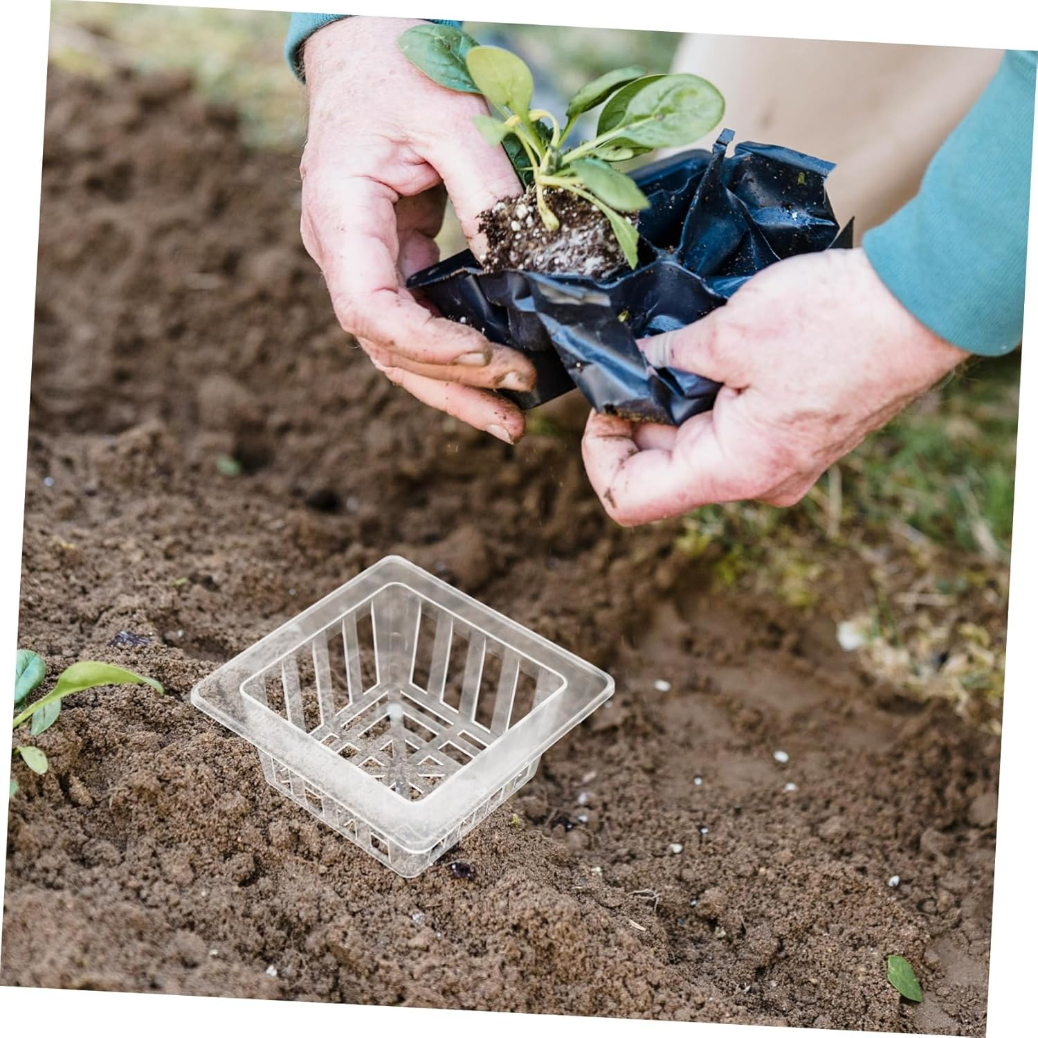 Parliky 20Pcs Square Plastic Mesh Root Baskets for Hydroponic Flower Pots for Plant Propagation and Soilless Gardening image number 1