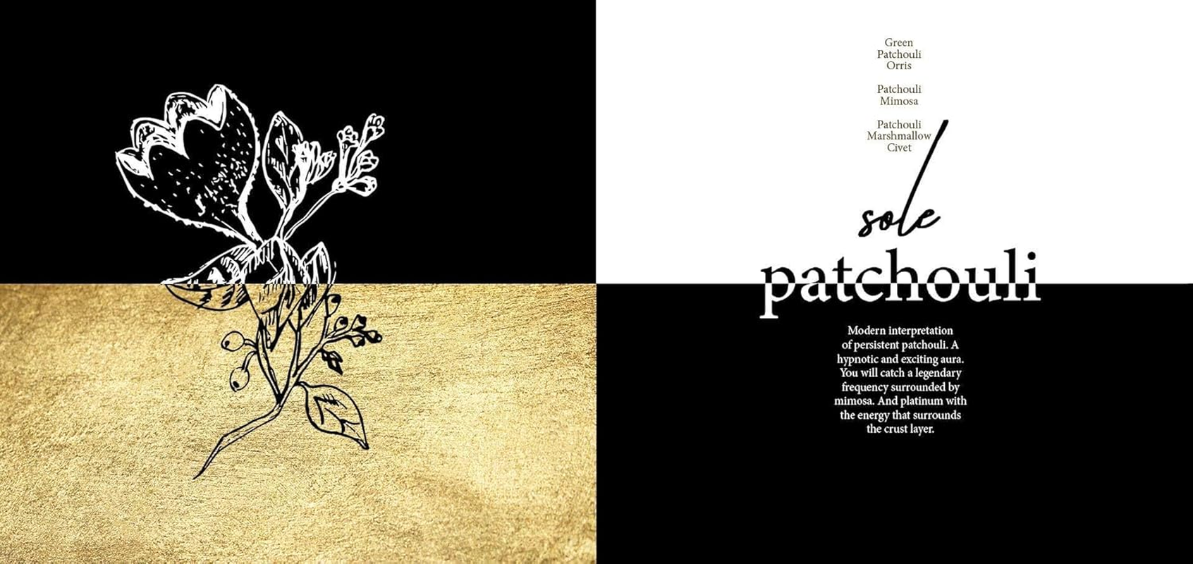 Vertus Sole Patchouli Unisex Eau De Parfum 100Ml image number 1