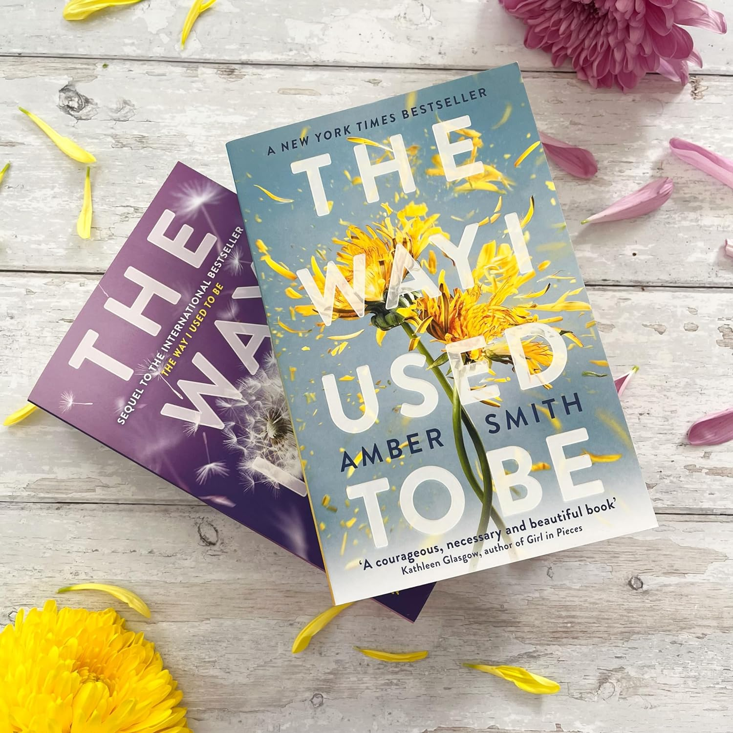 The Way I Used to Be: the Tiktok Sensation!