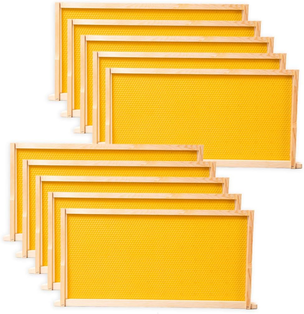 10 Beehive Frame with Beeswax Coated Plastic Foundation Sheet,Deep Frame Kit with Foundation Beekeeping Supplies (Yellow)
