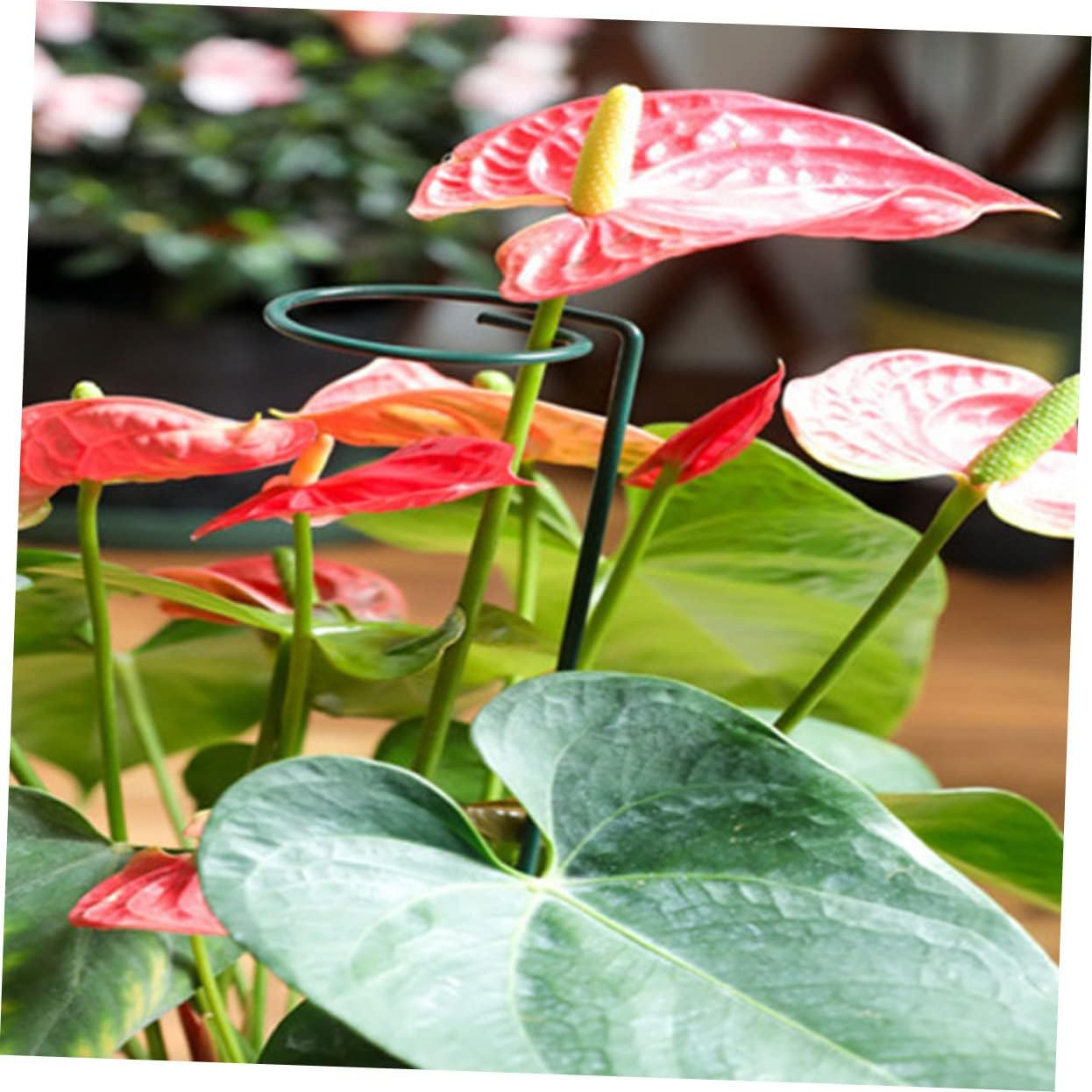 SEWOART 10Pcs Plant Support Stakes for Flower Plants and Reusable Garden Supports for Climbing and Upright for Home Gardening and Outdoor Decor image number 4