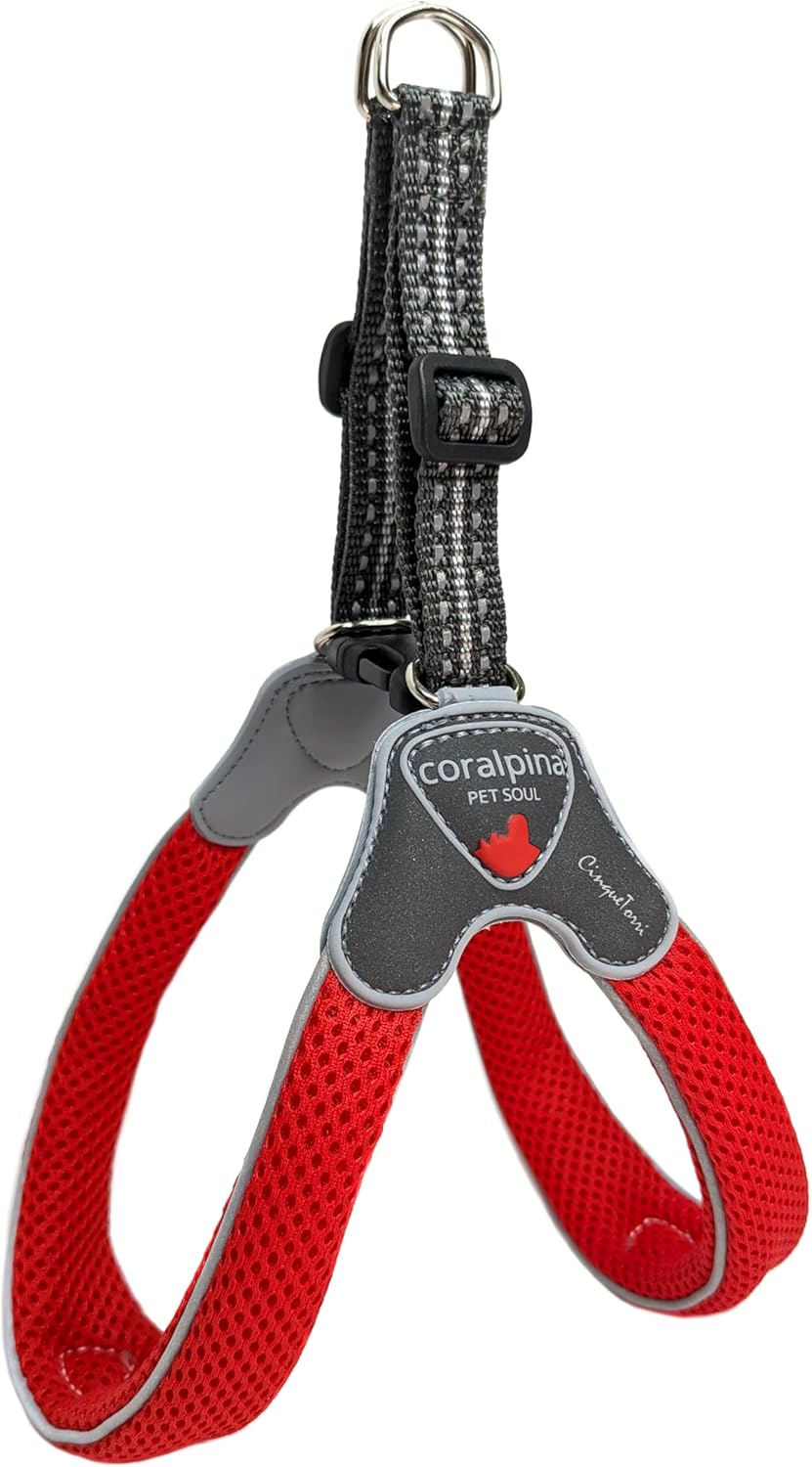 Coralpina Dog & Puppy Harnesses Italian Design & Quality Soft Airmesh (Large, Electric Blue)