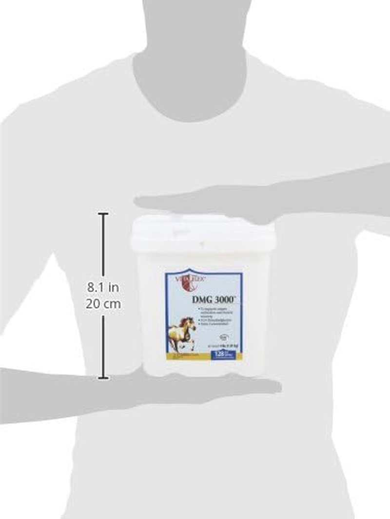 Vita Flex Pro DMG 3000 Horse DMG Concentrate, 4 Pounds, 128-Day Supply