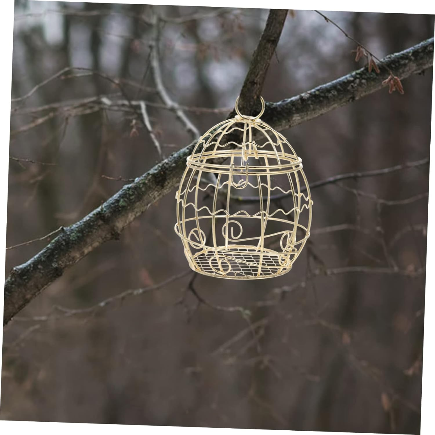 OFFSCH 12Pcs Hanging Suet Balls Holder Iron Wire Bird Feeder for Outdoor Use Durable Suet Feeder for Wild Birds for Garden and Backyard Feeding Stations