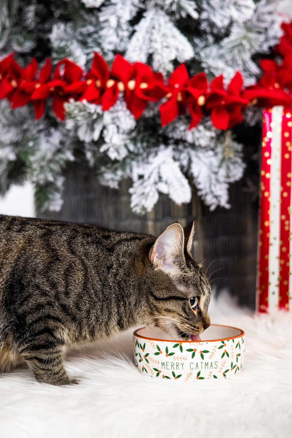 Pearhead Merry Catmas Pet Bowl, Cat Water and Food Dish, Christmas Holiday Cat Pet Bowl, Small image number 1