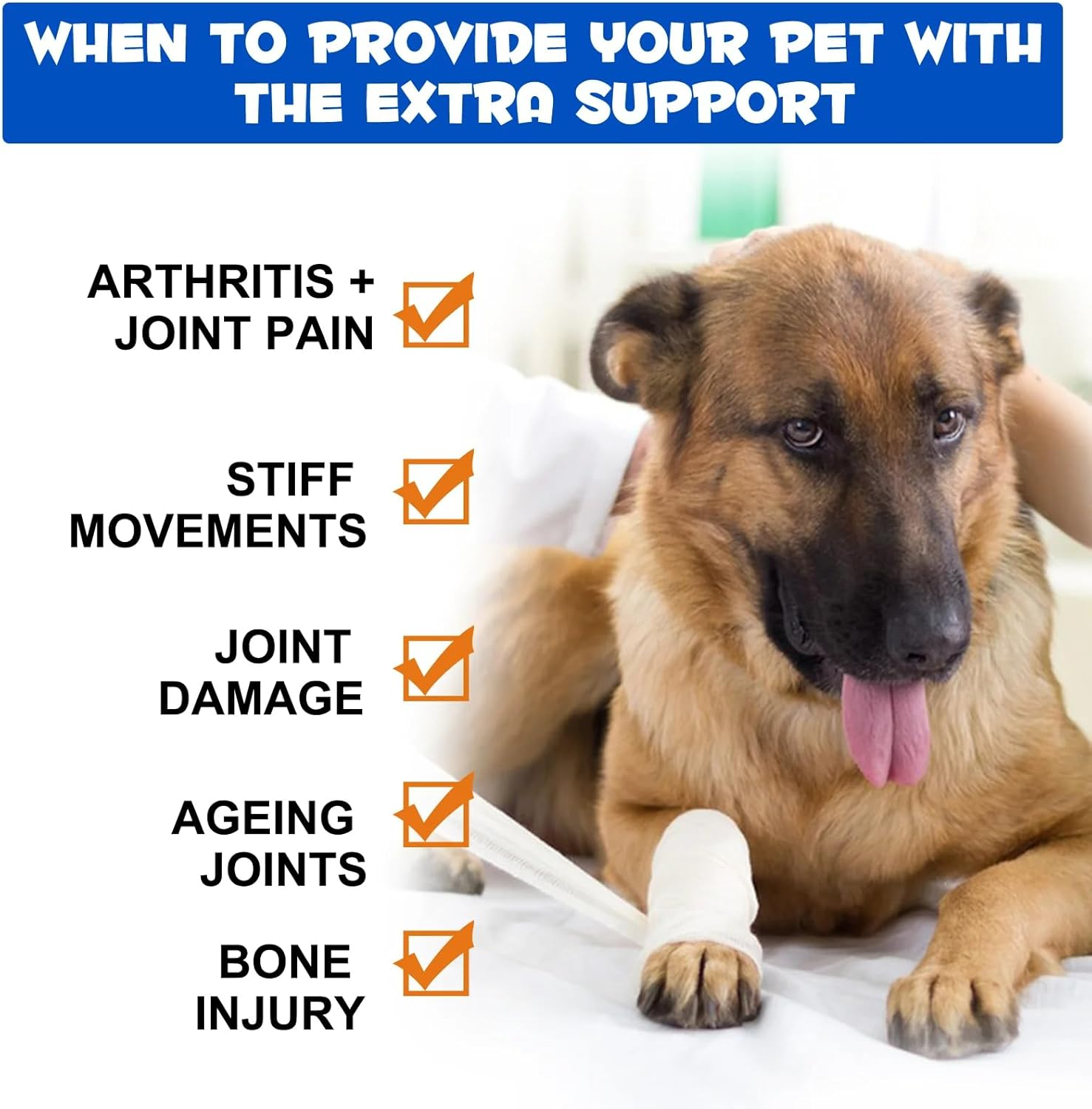 Joint Aid & Relief Drops for Dogs 60Ml | Natural Joint Support with Glucosamine, Chondroitin, MSM, and Turmeric | Improved Mobility & Flexibility image number 1