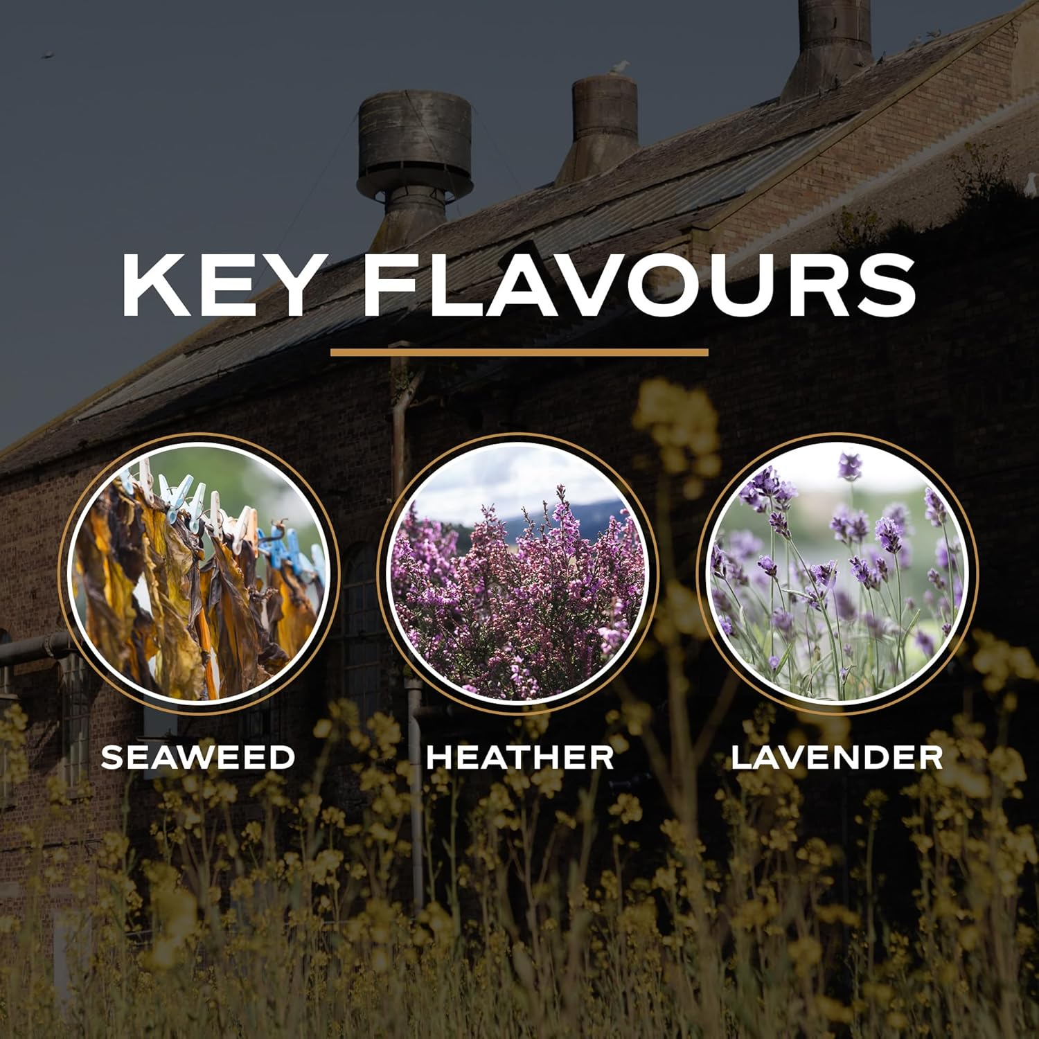 Eden Mill GOLF Gin 500Ml image number 5