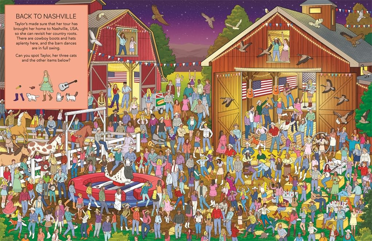 Where&rsquo;S Taylor?: a Sensational Search Book image number 4