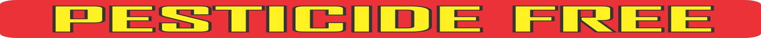 Australian Made Mosquito & Fly Repellent - All Natural - No Chemicals - Certified Organic - TWIN PACK image number 3