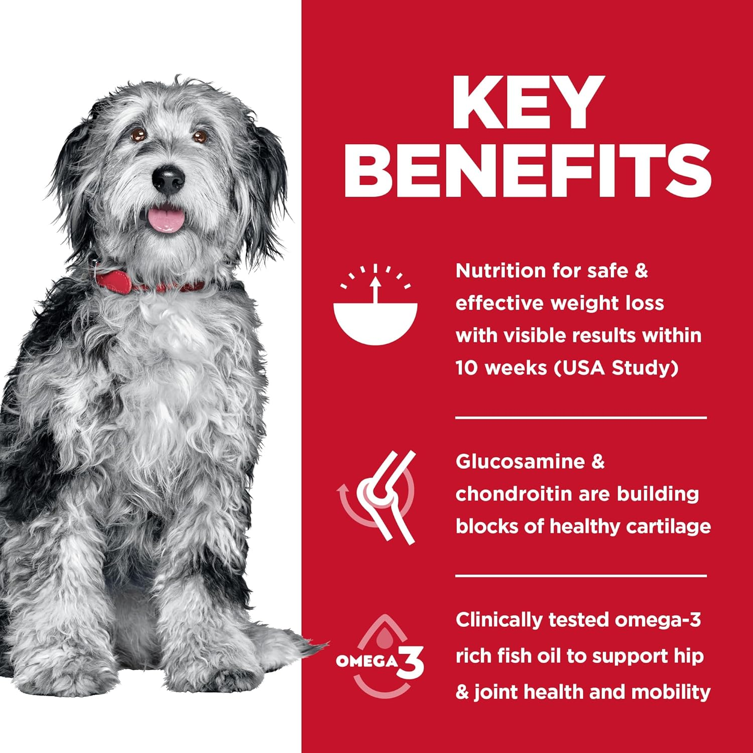 Hill&rsquo;S Science Diet Adult Perfect Weight + Joint Support Dry Dog Food 11.3Kg image number 1