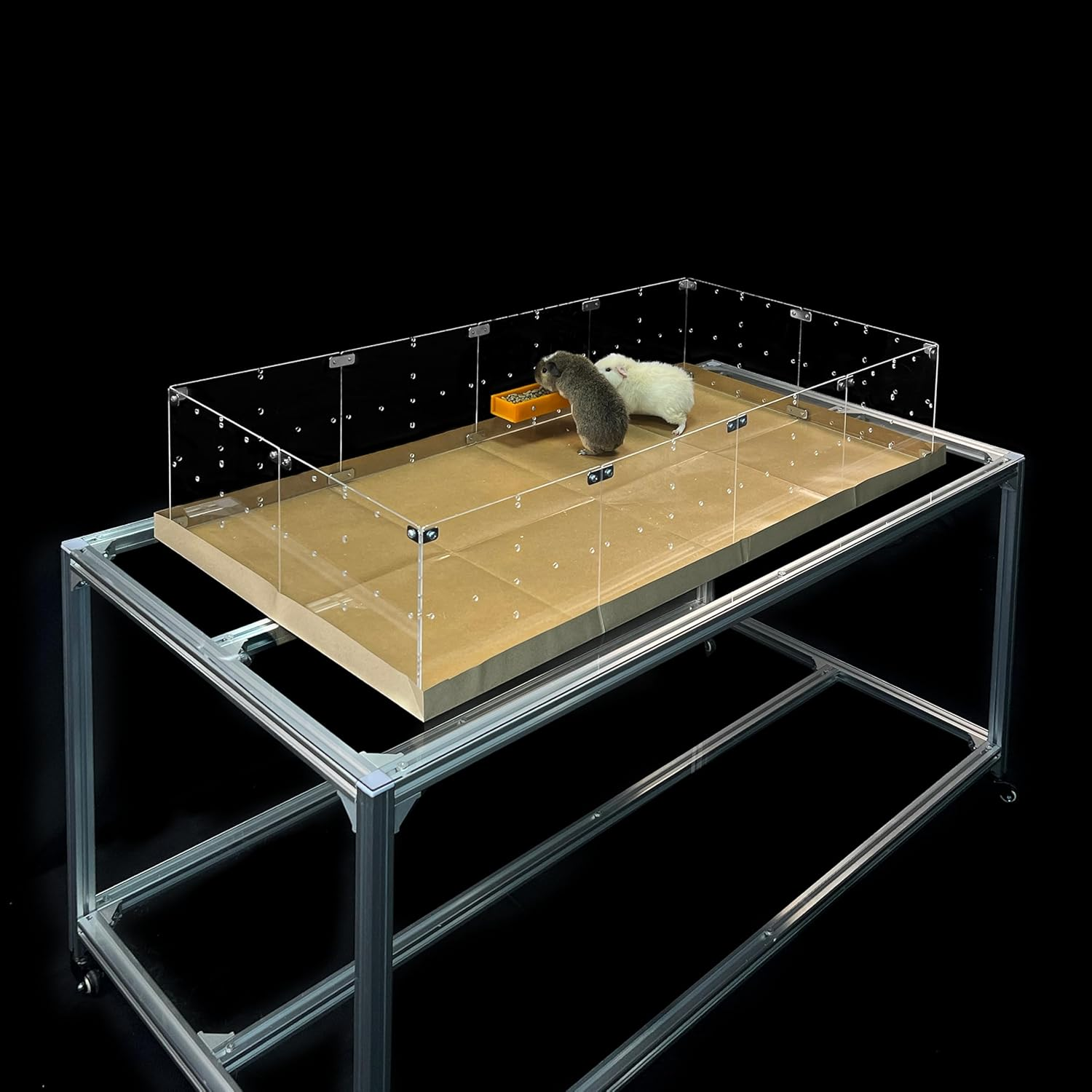 Guinealoft&trade; Food Feeder Yellow - Say Goodbye to Traditional Bowls! Ultimate Feeder for Small Pets like Guinea Pigs, Rabbits and Chinchillas. Designed & Made by Seasoned Owners - Guinealoft Exclusive image number 3