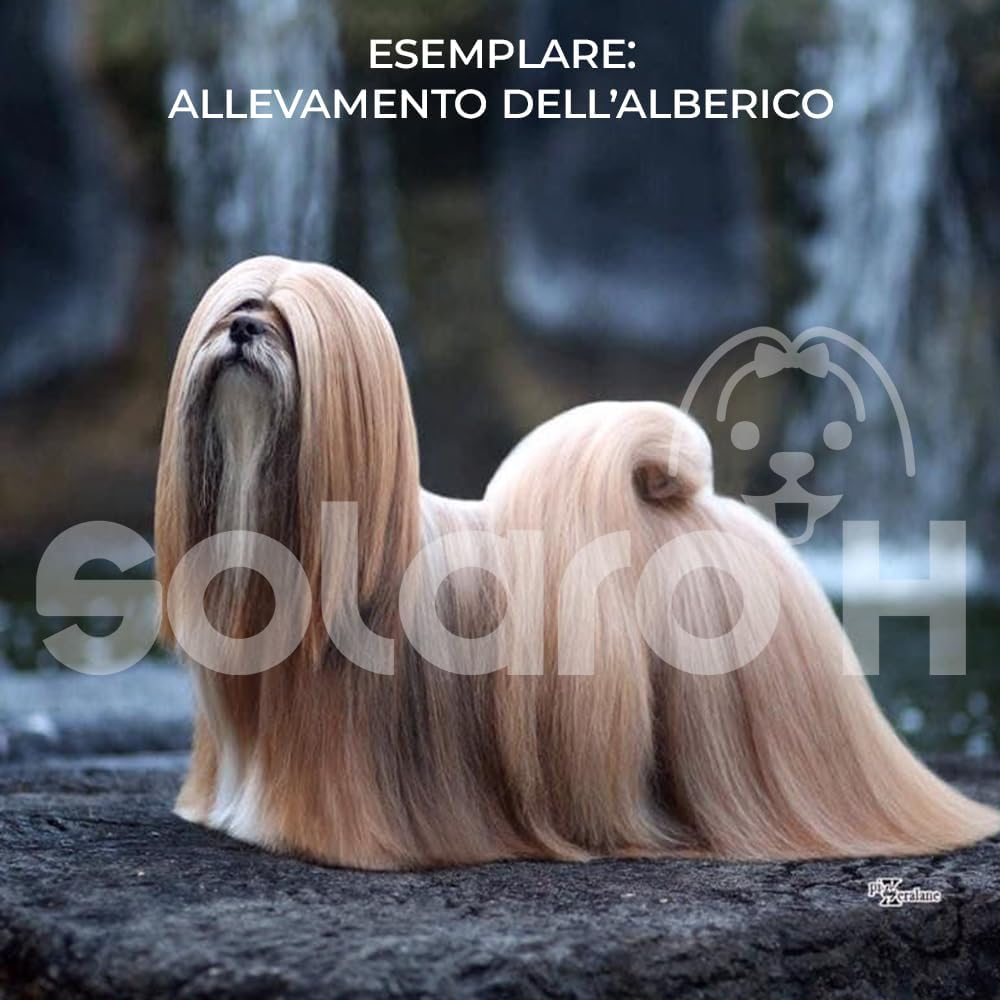 Solaro H Shampoo Ultra Soft 500 Ml Detangler Nourishing and Polisher image number 3