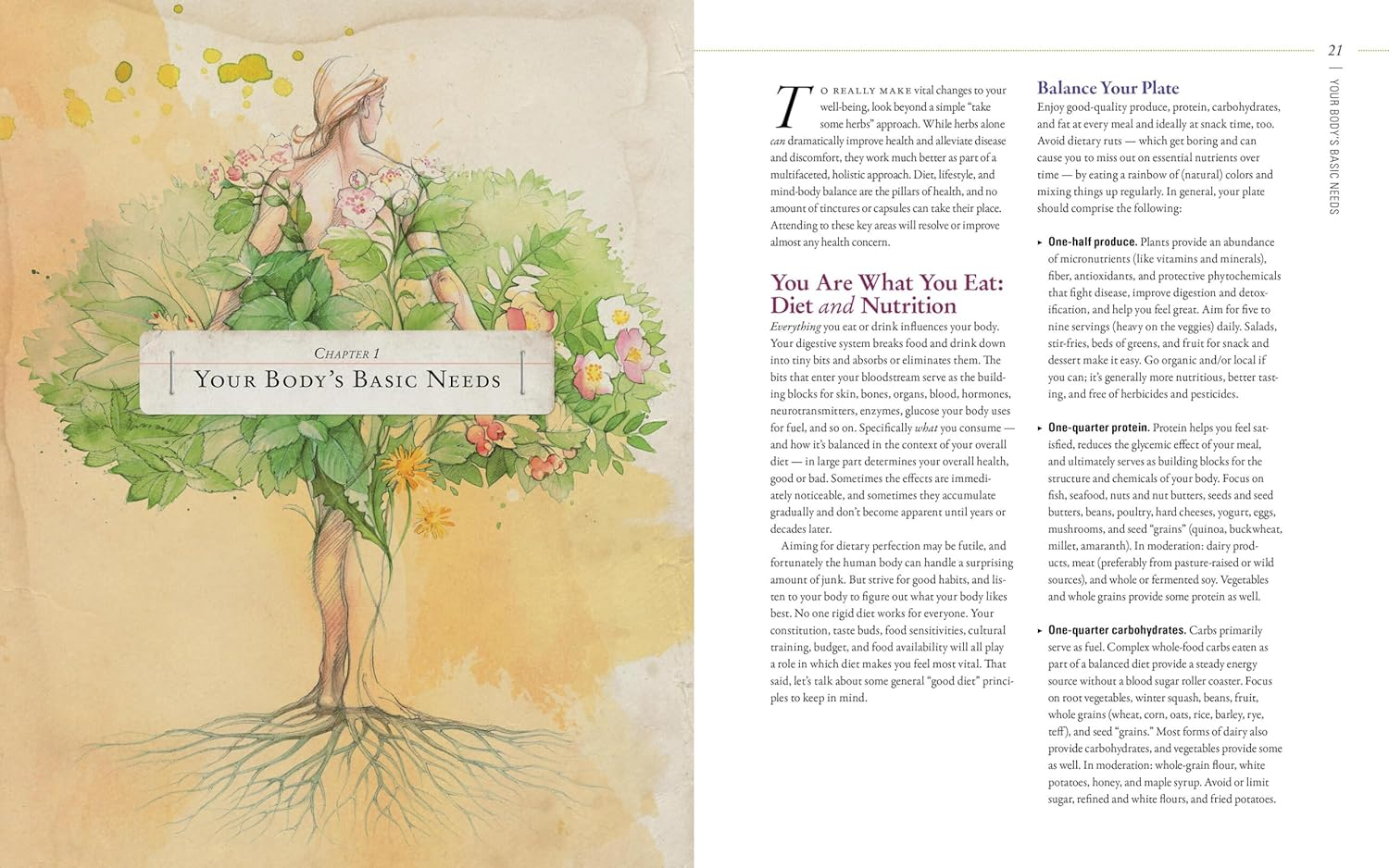 Body into Balance: an Herbal Guide to Holistic Self-Care