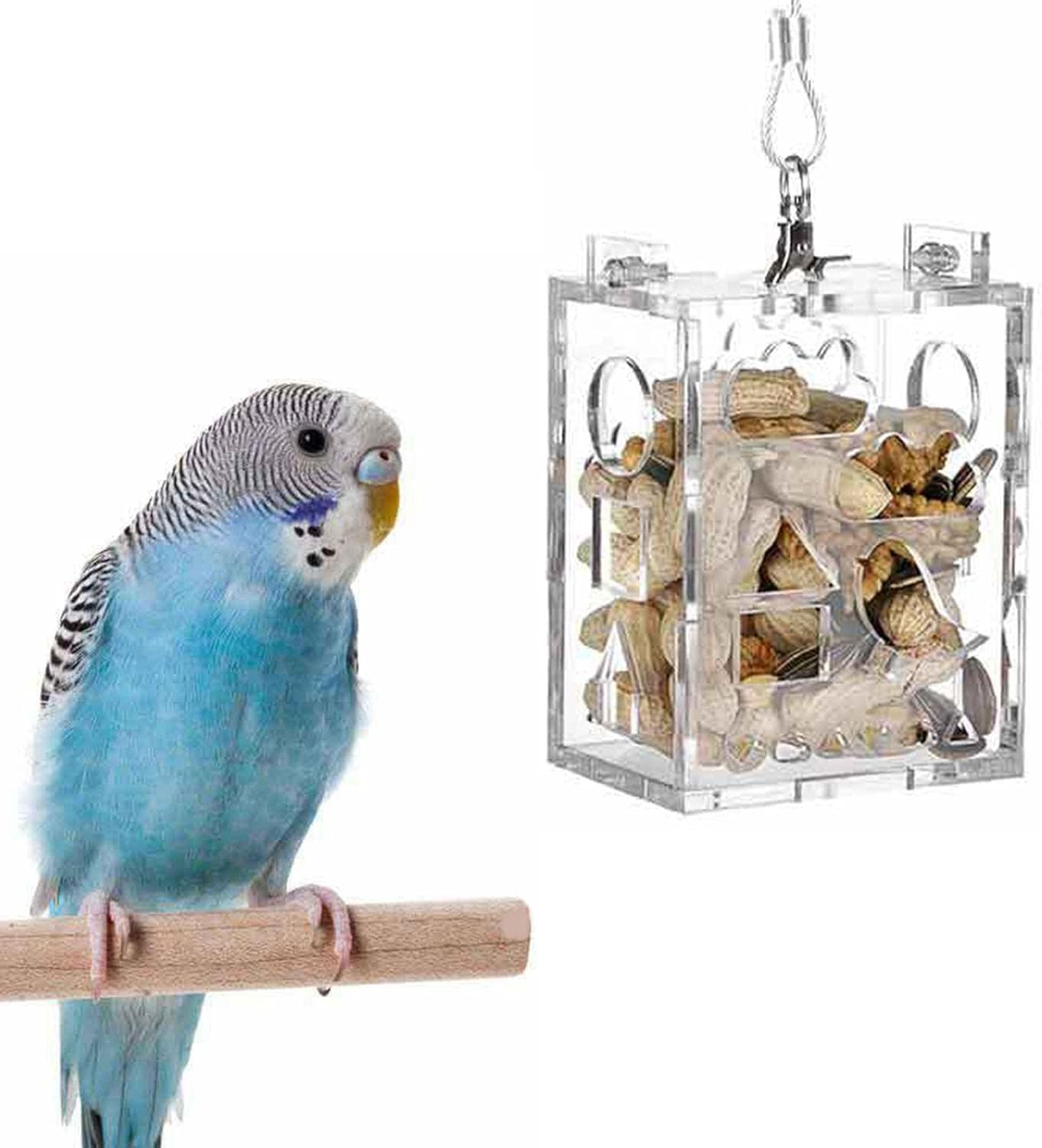 Acrylic Parrot Feeder Toy,Parrot Feeder Toy Acrylic Box Food Holder - Bird Treats Boredom Buster for Anchovies, Parakeets, Cockatiel, Mynah?