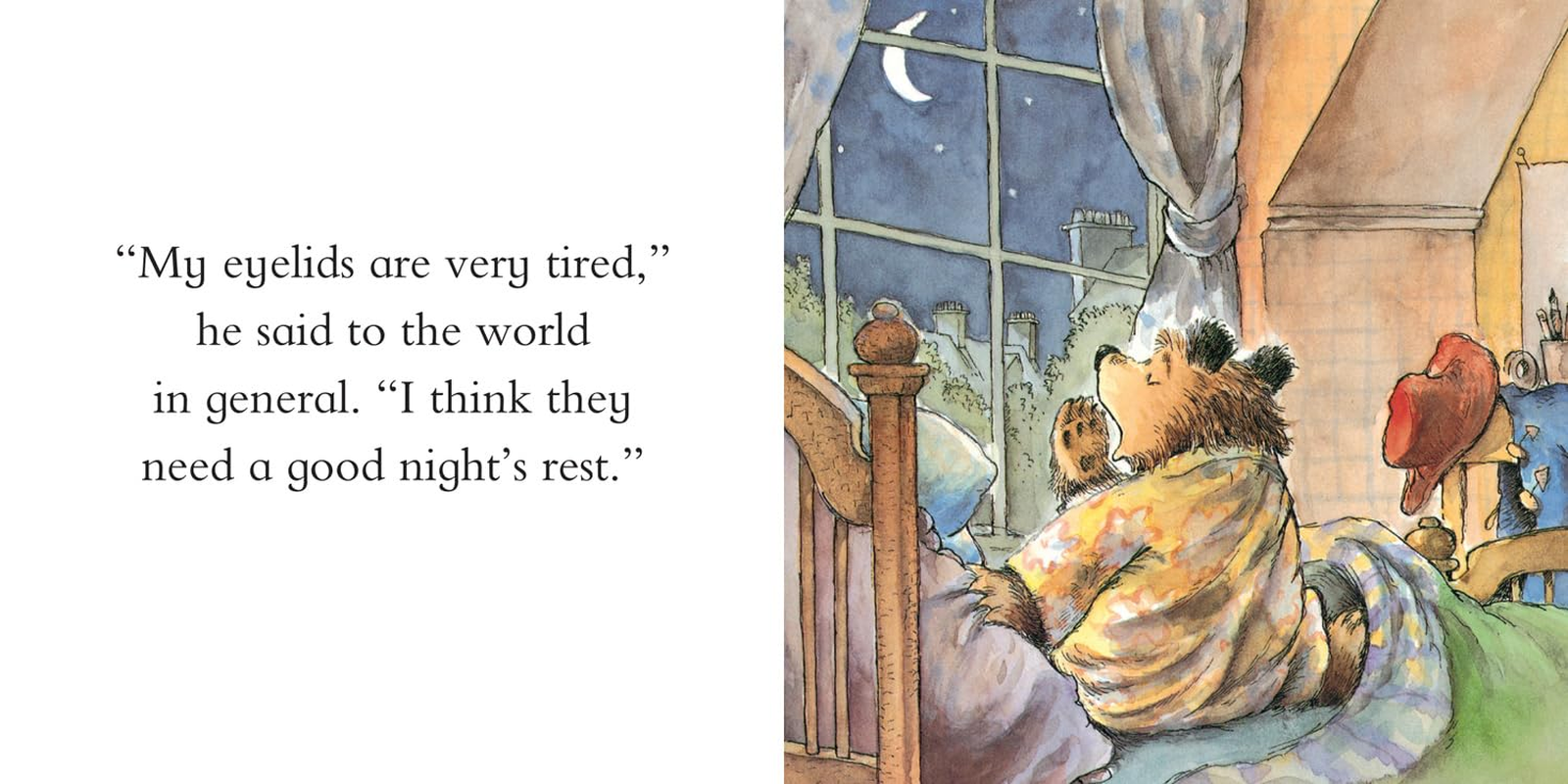 Paddington Little Library image number 4