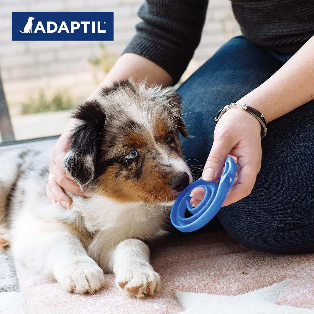 ADAPTIL Junior Puppy Collar - Blue, Size S, for Puppies up to 37.5Kg/15Kg, Supports Acclimatization & Training, Uses Dog Appeasing Pheromones, Recommended for All Breeds
