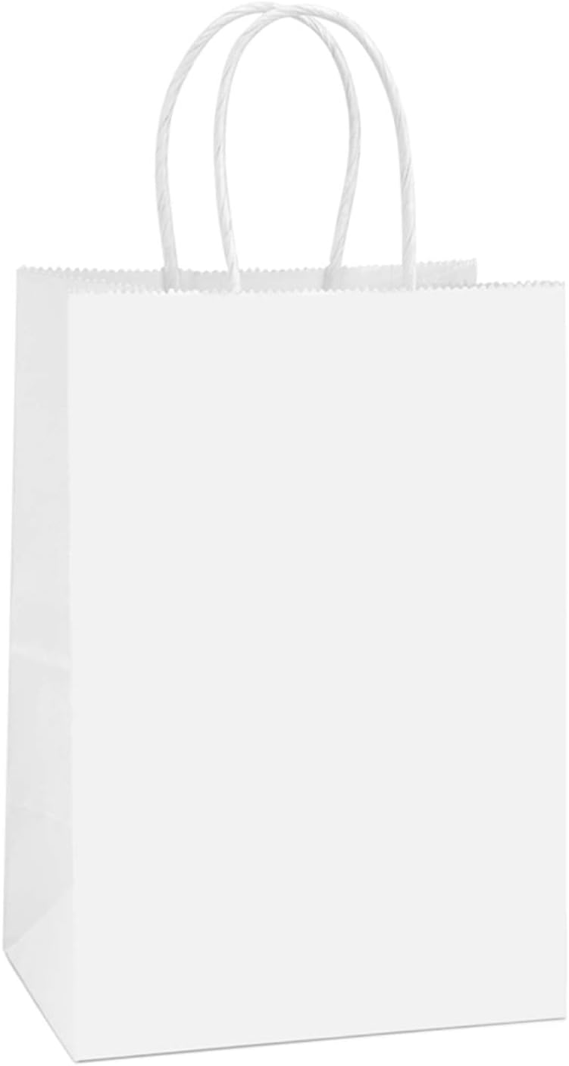 Neulsun 100Pack White Paper Bags 21X11X27 Cm, Plain Medium Paper Bags with Handles Bulk, Kraft Paper Gift, Retail, Party, Shopping Bag, Favor Bag