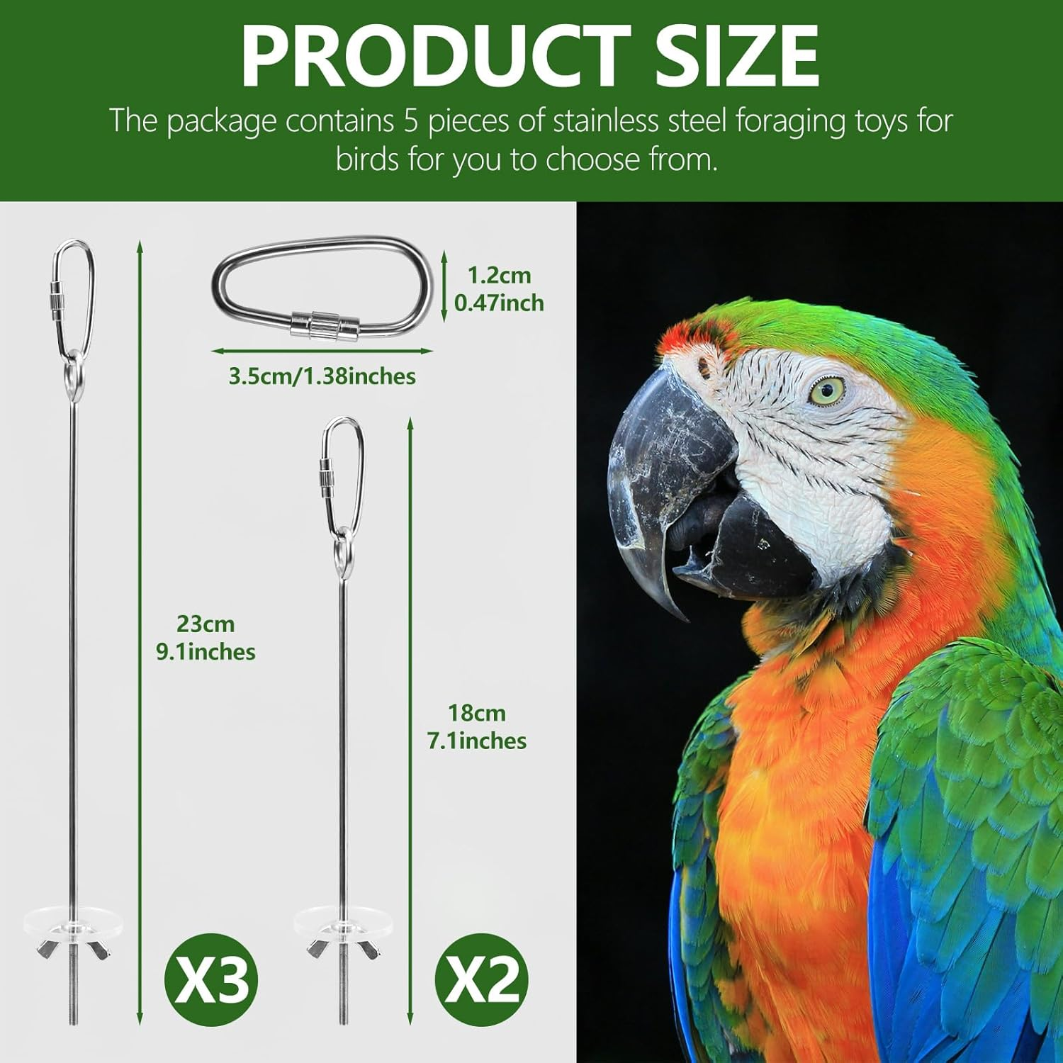 LELE LIFE 5 Pcs Hanging Bird Cage Feeder Parrot Fruit Vegetable Skewer Stainless Steel Parakeet Budgie Bird Cage Accessories