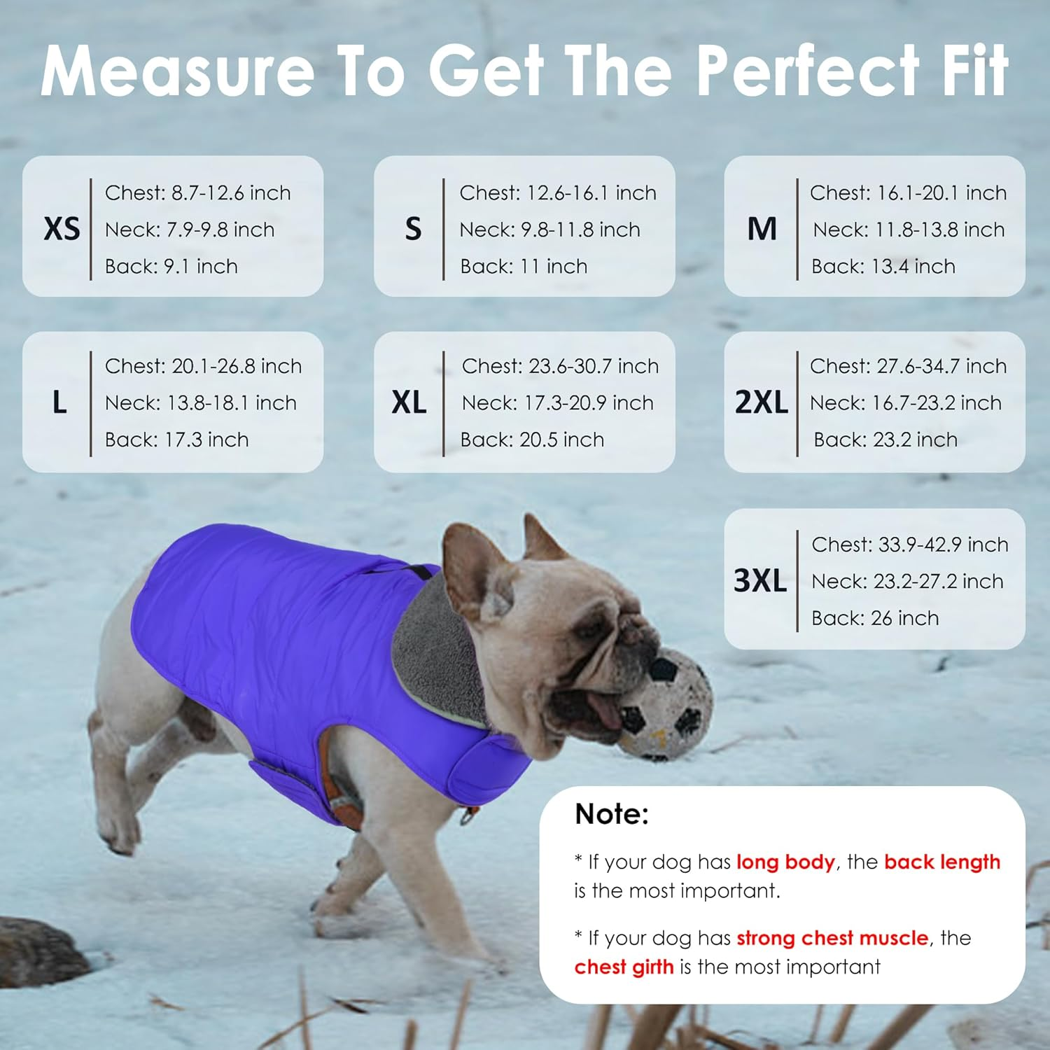 Petglad Dog Winter Coat, Waterproof Dog Jacket with Leash Hole, Reflective Warm Dog Snow Jacket Windproof Fleece Vest, Dog Clothes Outfits for Small Medium Large Dogs - Blue, M image number 6