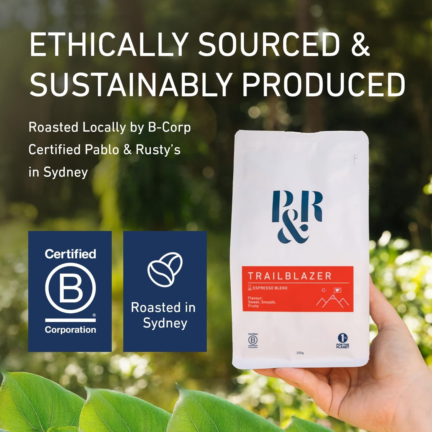 Pablo & Rusty'S Trailblazer Blend. Freshly Roasted Specialty Coffee. image number 3