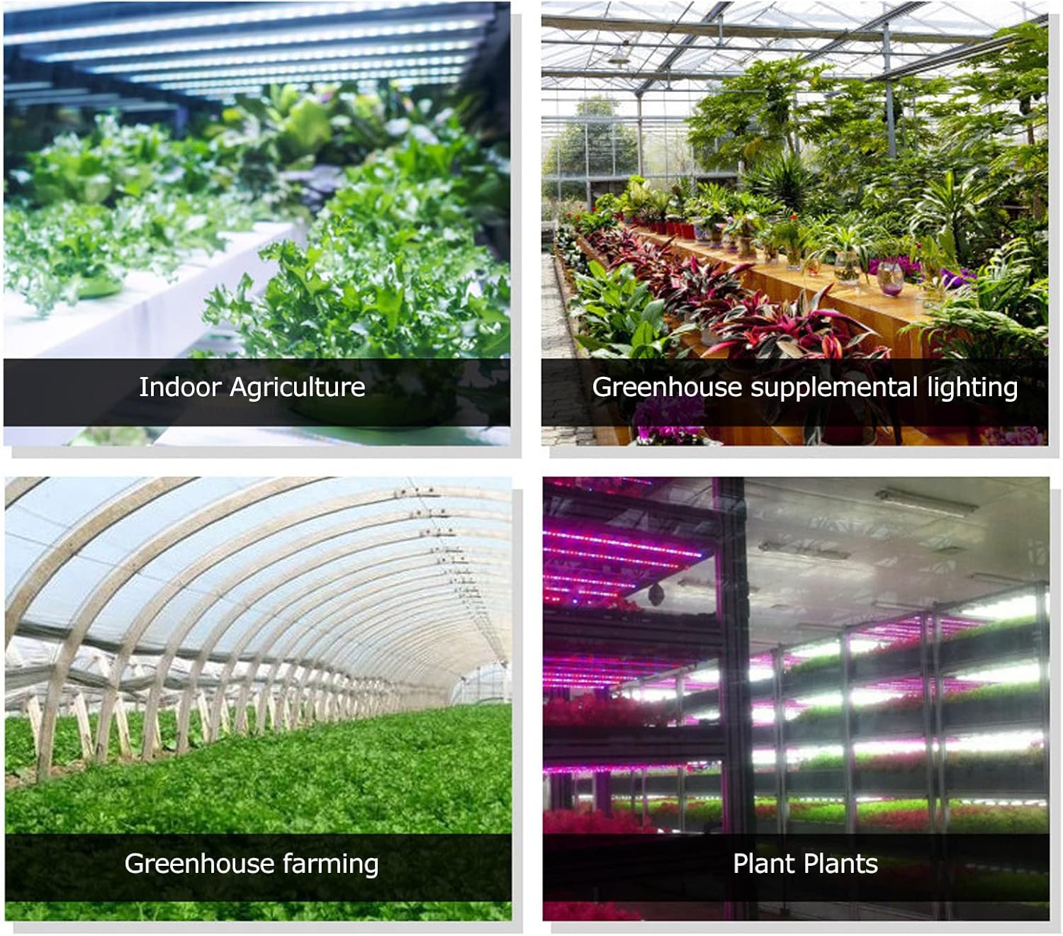 5W Solar Energy Grow Light Strip, Plant Grow Spectrum LED Light Strip, Solar LED Grow Light Strips with Panel for Gardening Home Balcony Sowing (5W 2M) - 0.5M image number 4