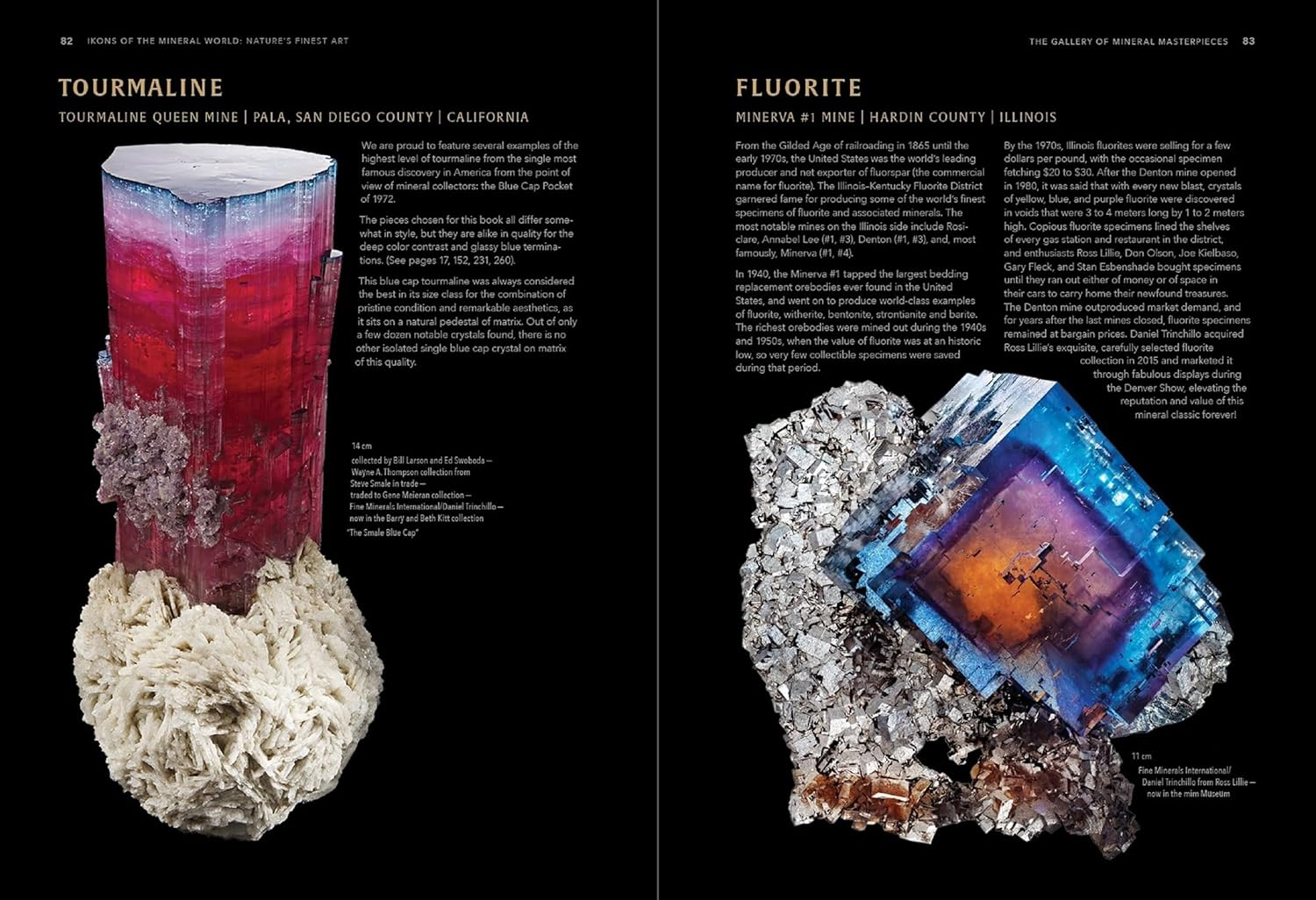 Ikons of the Mineral World: Nature'S Finest Art image number 5