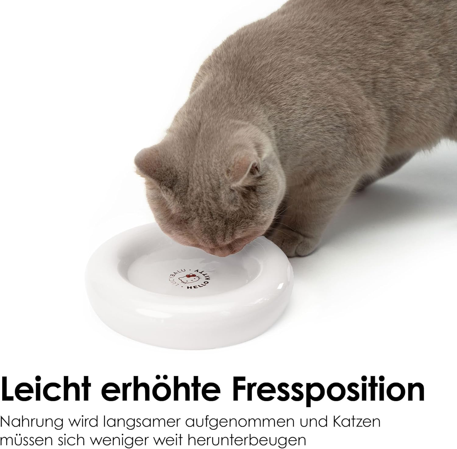 Lucybalu X Hello Kitty Drop Porcelain Cat Bowl: Raised Cat Feeding Bowl & Water Bowl for Cats - Porcelain, White image number 1