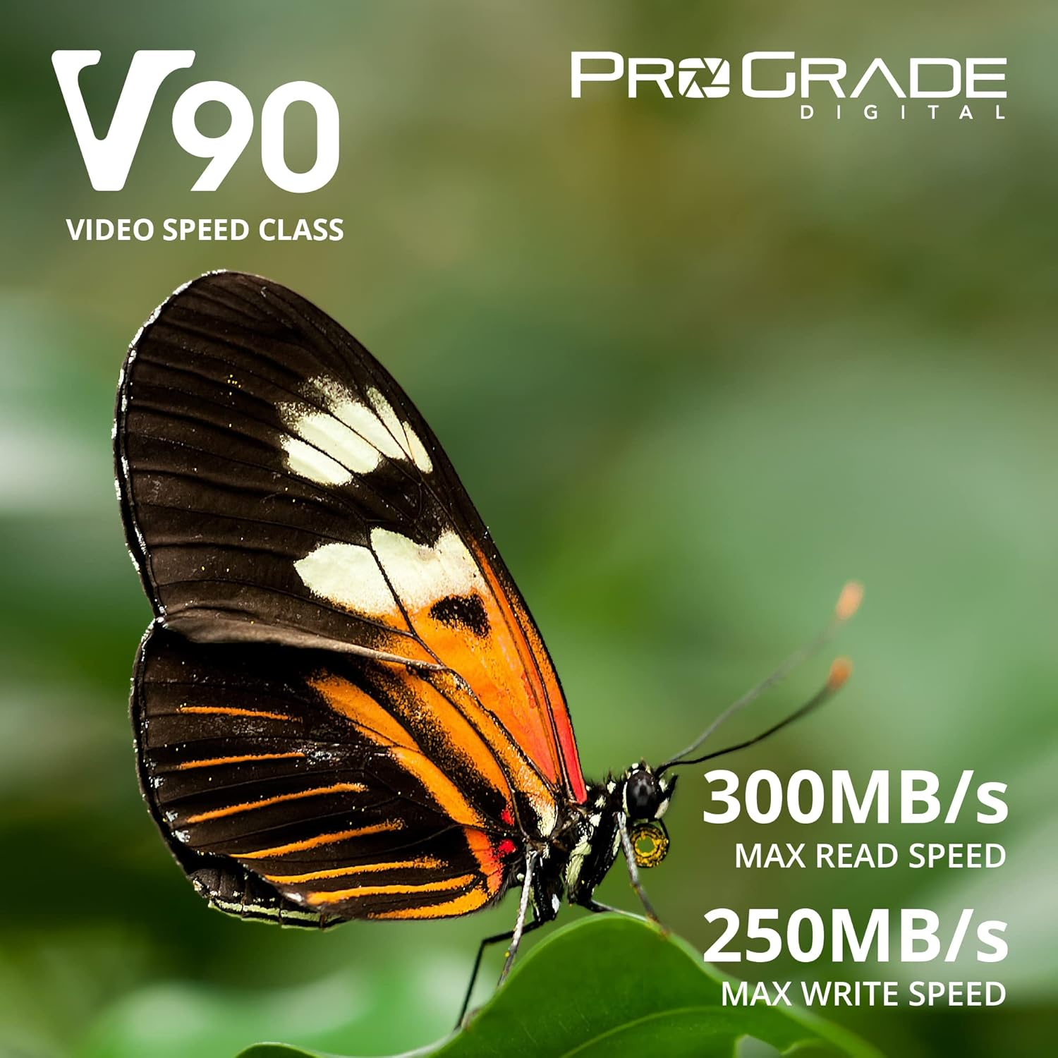Prograde Digital SDXC UHS-II V90 300R Memory Card (512GB) image number 4