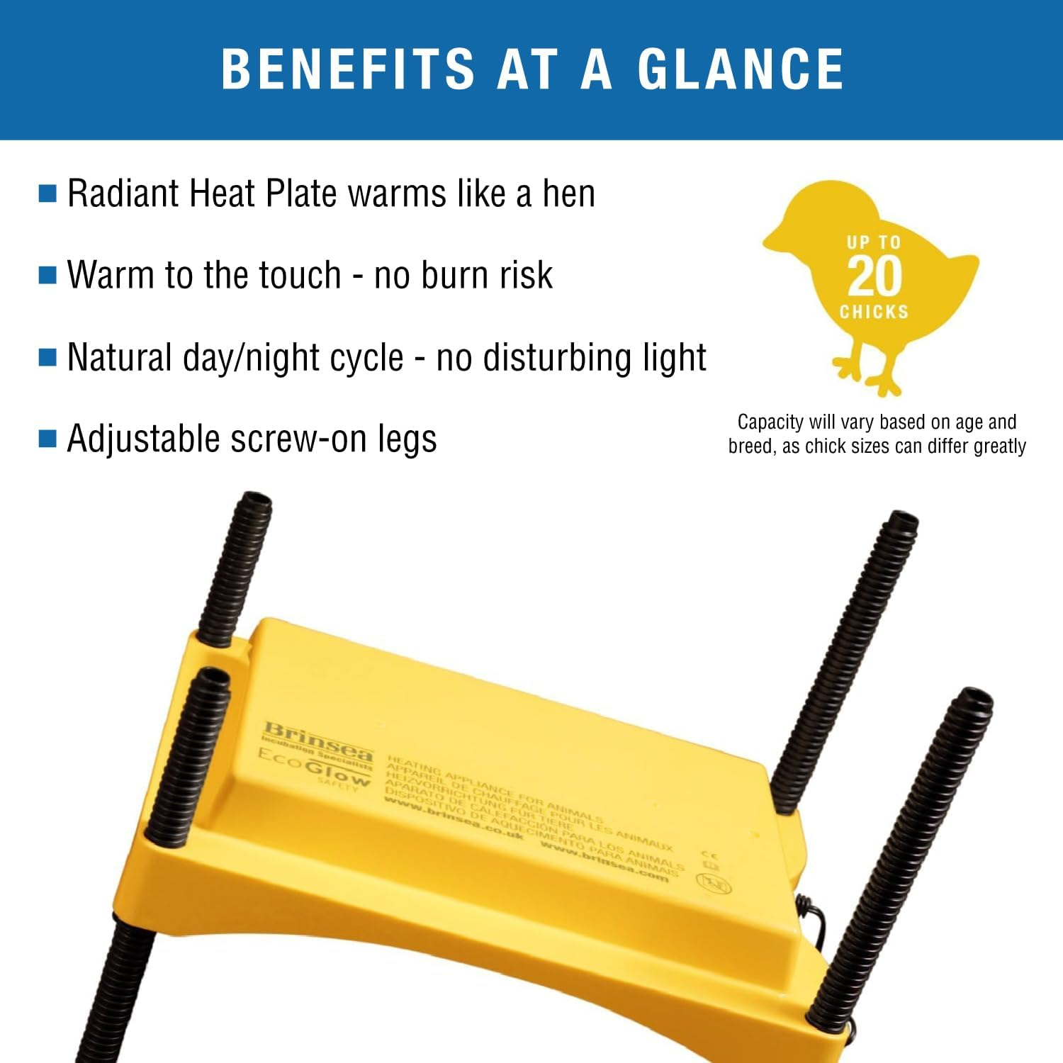 Brinsea Ecoglow Safety 600 Chick or Duckling Brooder, Adjustable Height & Angle Brooder Plate for 20 Chicks, Ideal for Chicken Coops Poultry Heating with Safety Indicator, 12 Watts image number 5