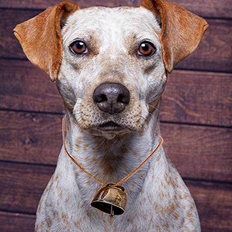 5 Pack Grazing Copper Bells, Metal Cow Bells for Dogs, Animal Copper Loud Bronze Bell, Small Brass Bell, for Cow Horse Sheep Cats Small Pets Anti-Theft Accessories (Bronze) image number 5
