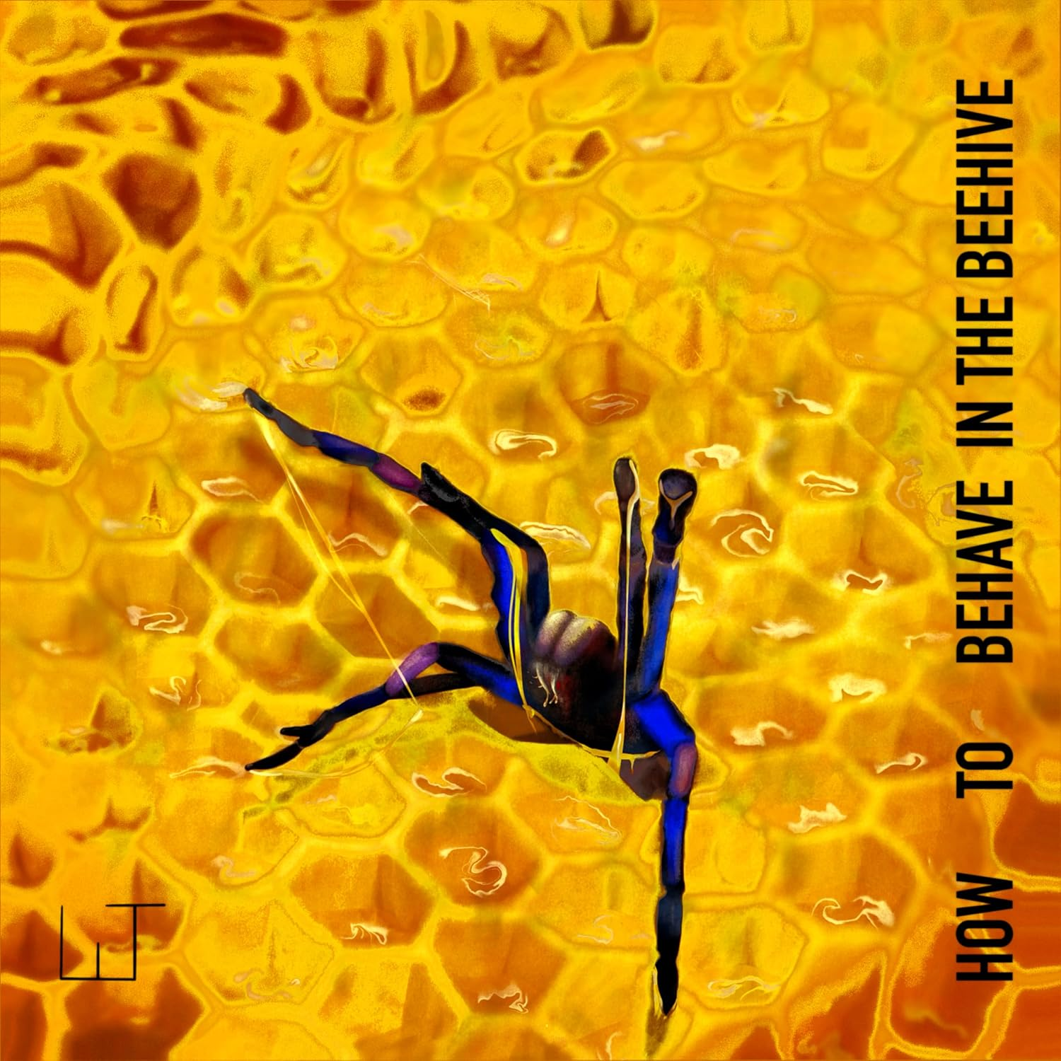 How to Behave in the Beehive (CD)